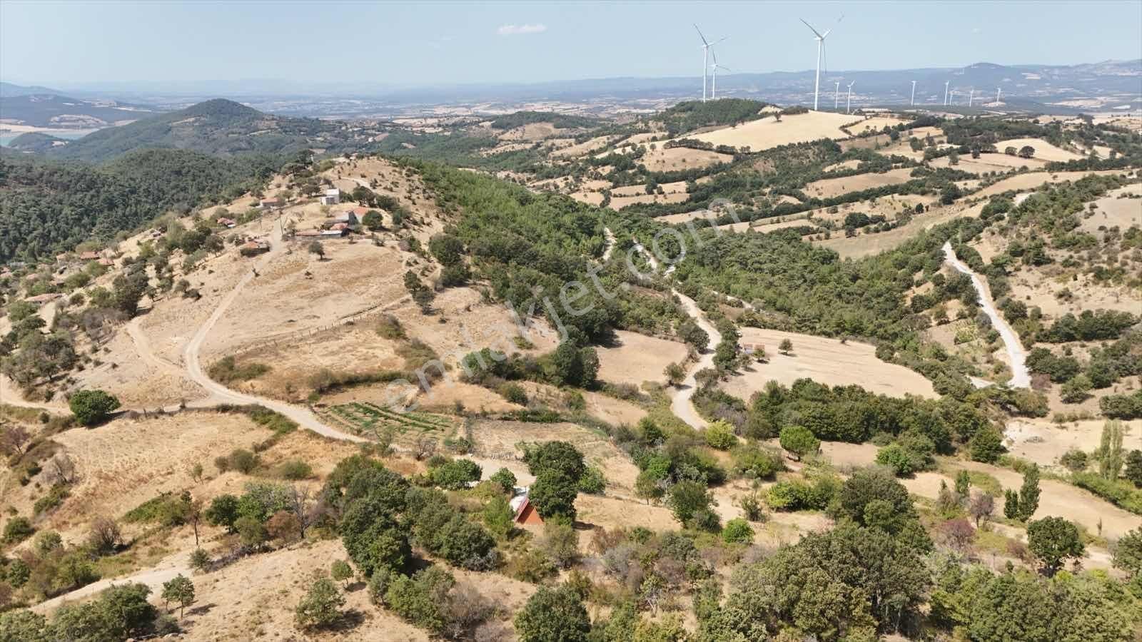 Bayramiç Kaykılar Da Köy İçinde 5840 M2 Arsa - Görsel 4