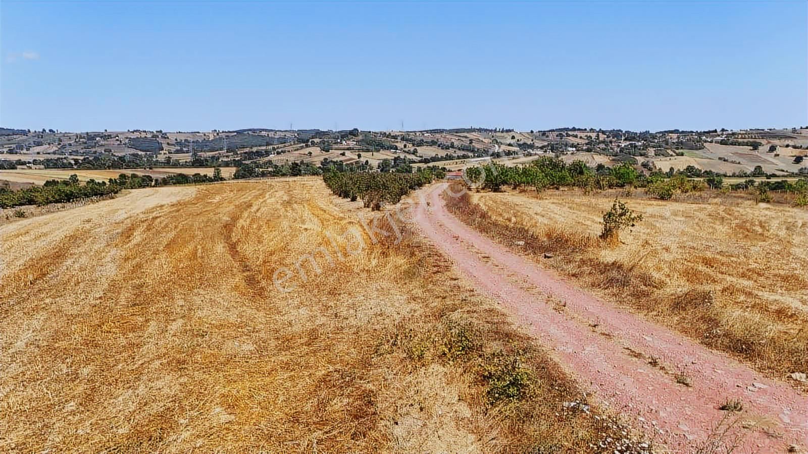 Kandıra Da Ev Yapmaya Ve Çiftlik Yapmaya Uygun Fırsat Arazi - Görsel 11