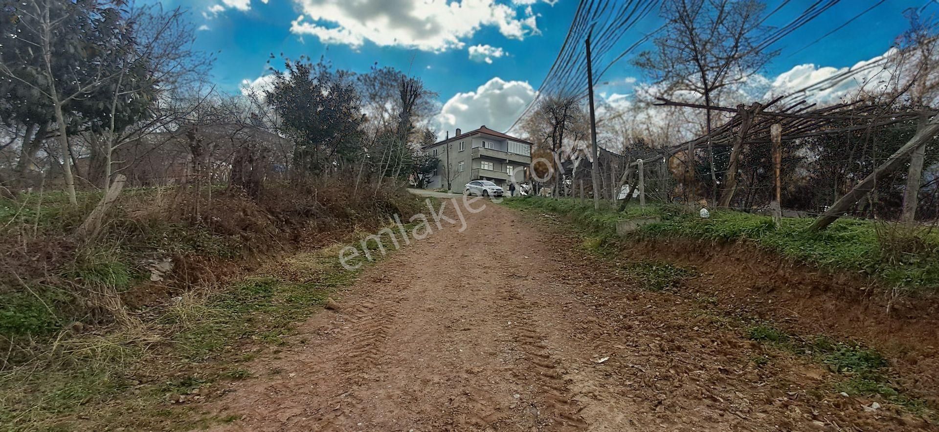 Re/max Mavı Fatıh Çelebı'den Karasu Resuller'de Fındık Bahçesı - Görsel 3