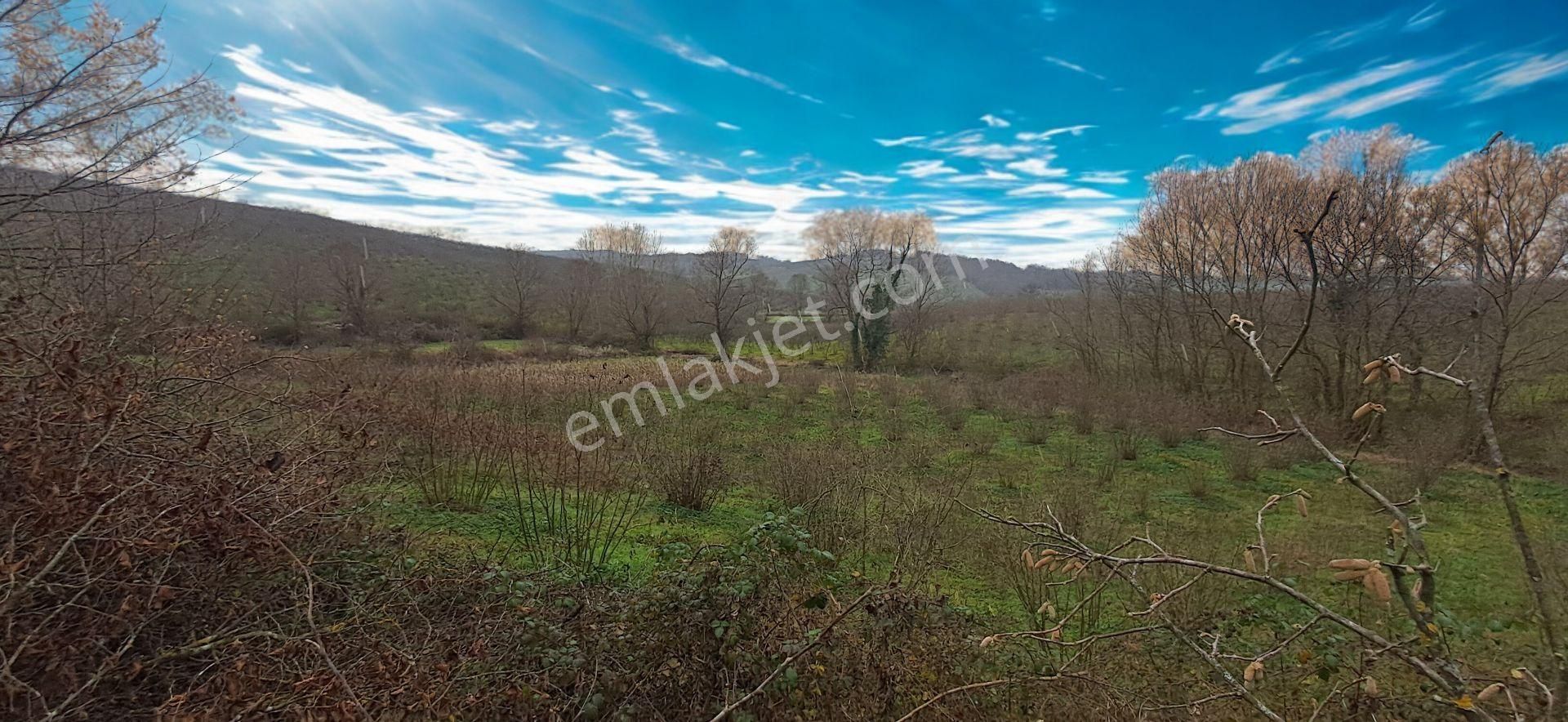 Re/max Mavı Fatıh Çelebı'den Karasu Resuller'de Fındık Bahçesı