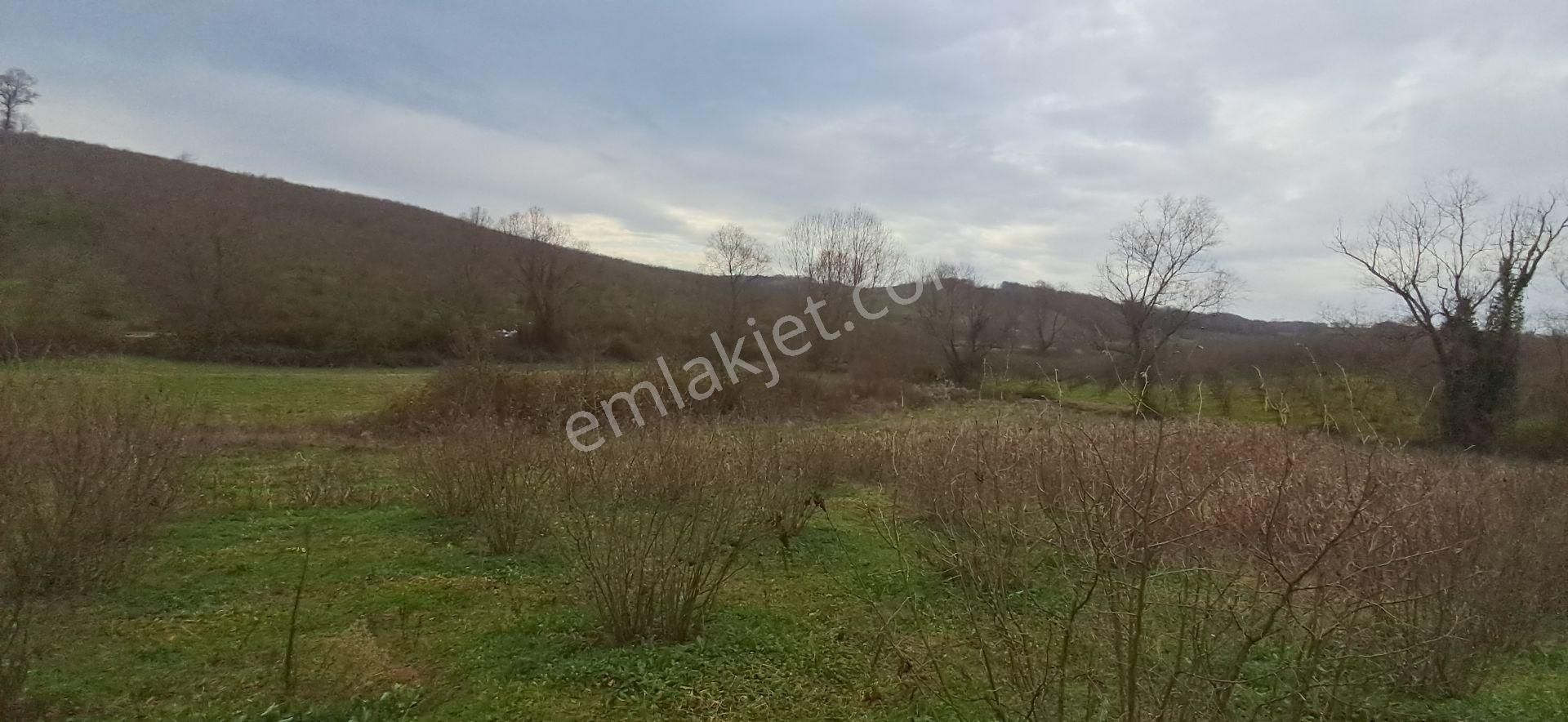 Re/max Mavı Fatıh Çelebı'den Karasu Resuller'de Fındık Bahçesı - Görsel 16