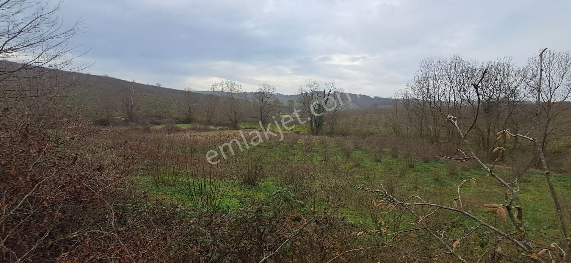 Re/max Mavı Fatıh Çelebı'den Karasu Resuller'de Fındık Bahçesı - Görsel 8