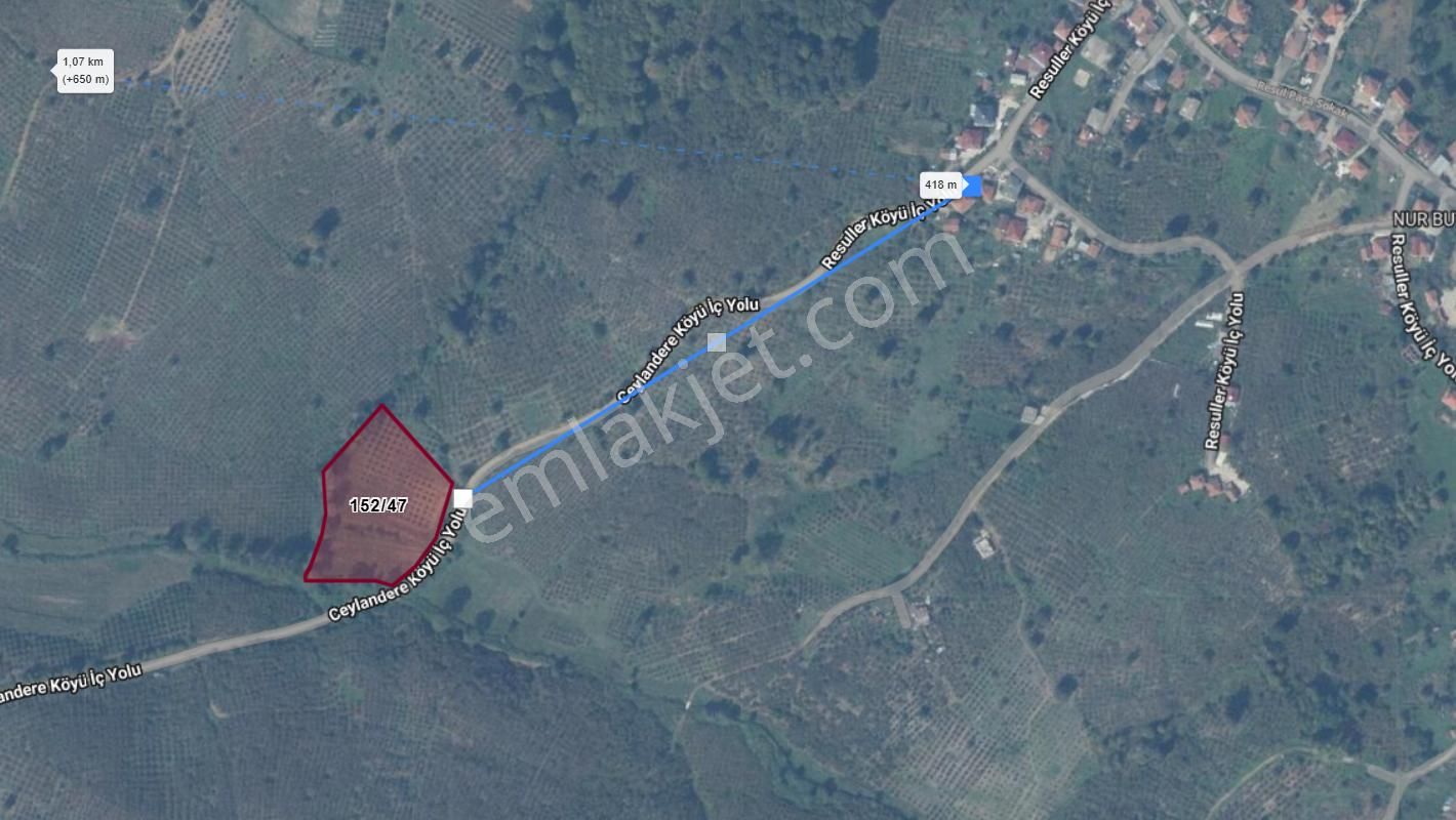 Re/max Mavı Fatıh Çelebı'den Karasu Resuller'de Fındık Bahçesı - Görsel 2