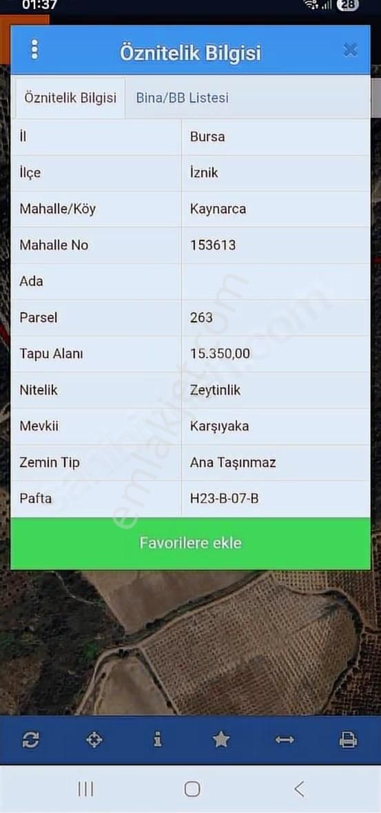 İznik Kaynarca 30 Dönüm Uygun Fiyata Zeytinlik - Görsel 9