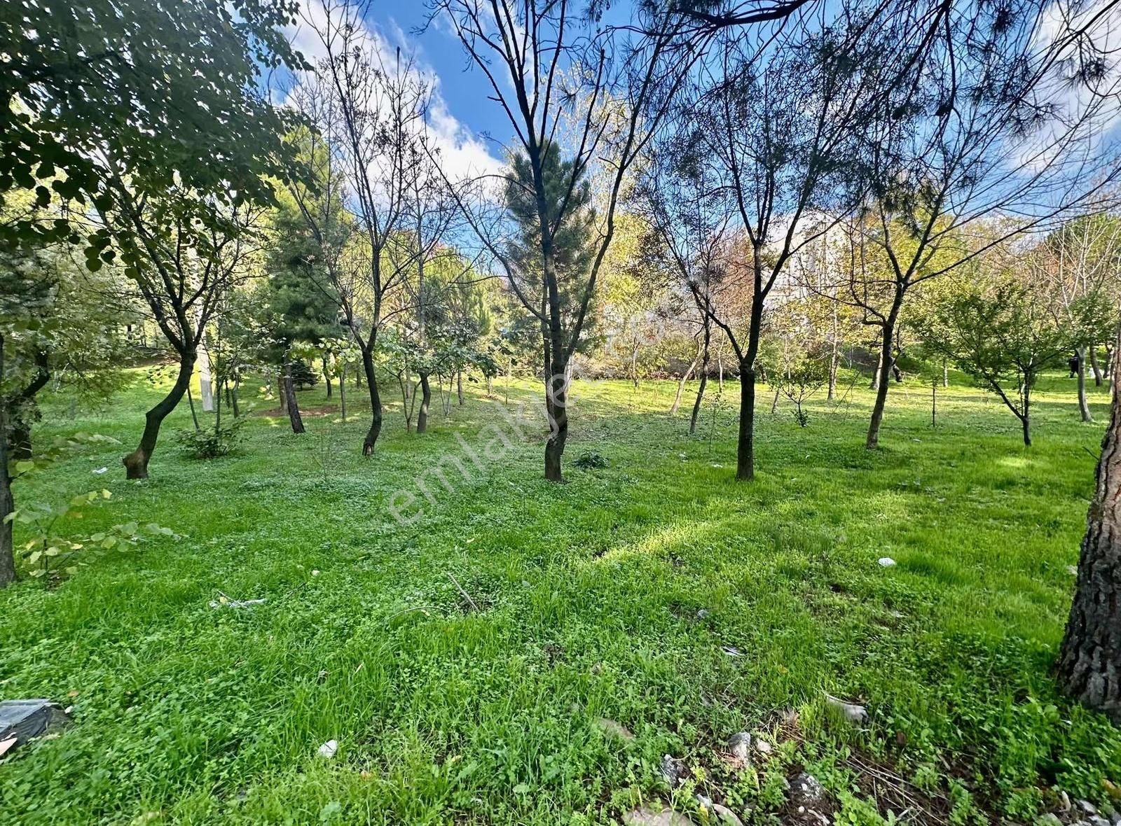 Dialog Piramit Beşevler Önü Açık Geniş 3+1 Satılık Daire - Görsel 9