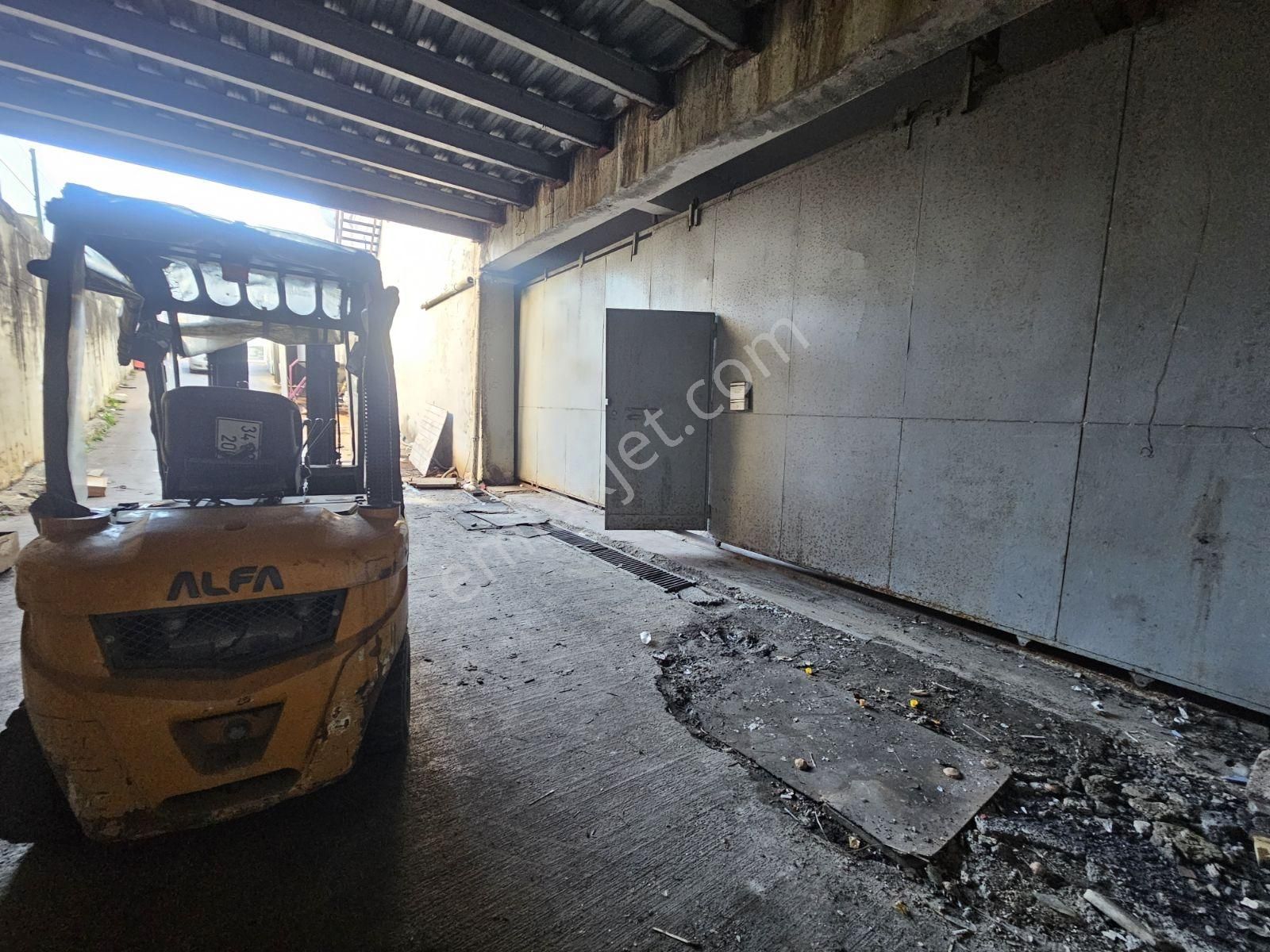 Kiralık Tek Kat 2.000 M² Kapalı Alan - Görsel 2