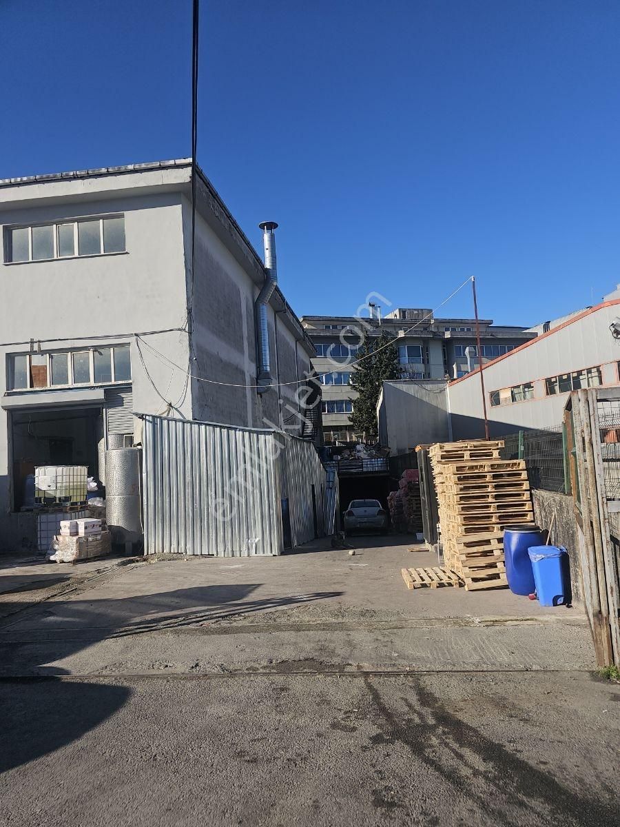 Kiralık Tek Kat 2.000 M² Kapalı Alan - Görsel 4