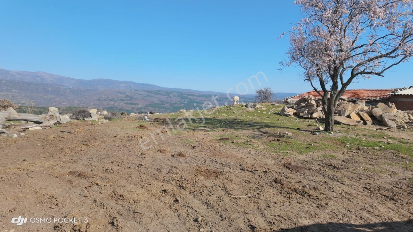 Manzarasıyla Değer Kazanan Konut Arsası (332 M2) - Görsel 9