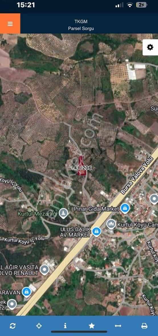 Dialog Piramitden Satılık Gemlik Kurtulda Zeytinlik