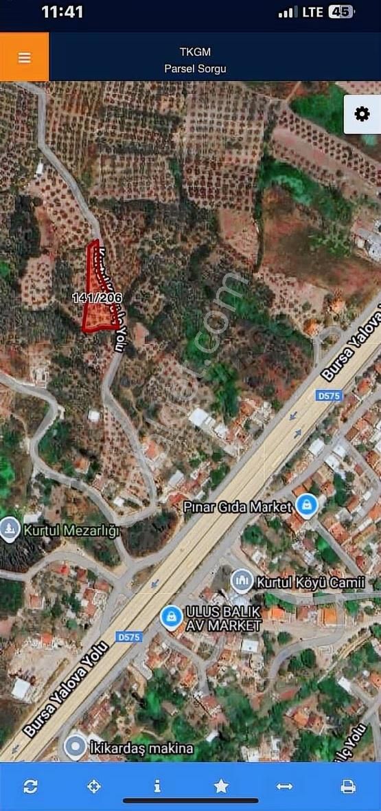 Dialog Piramitden Satılık Gemlik Kurtulda Zeytinlik - Görsel 2