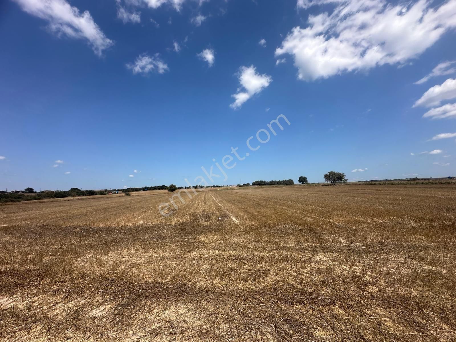 Beyciler Fabrikaların Ortasında Yatırımlık Tarla - Görsel 10