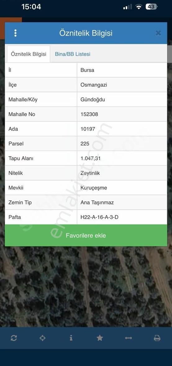 Dialog Piramitten Gündoğdu Da Zeytinlik