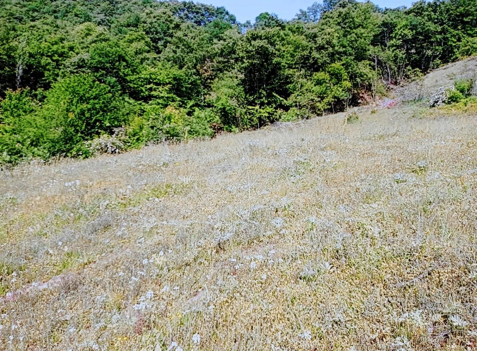 İnegöl Sülüklügöl Sarıyer Mevkii Satılık Tarla - Görsel 6