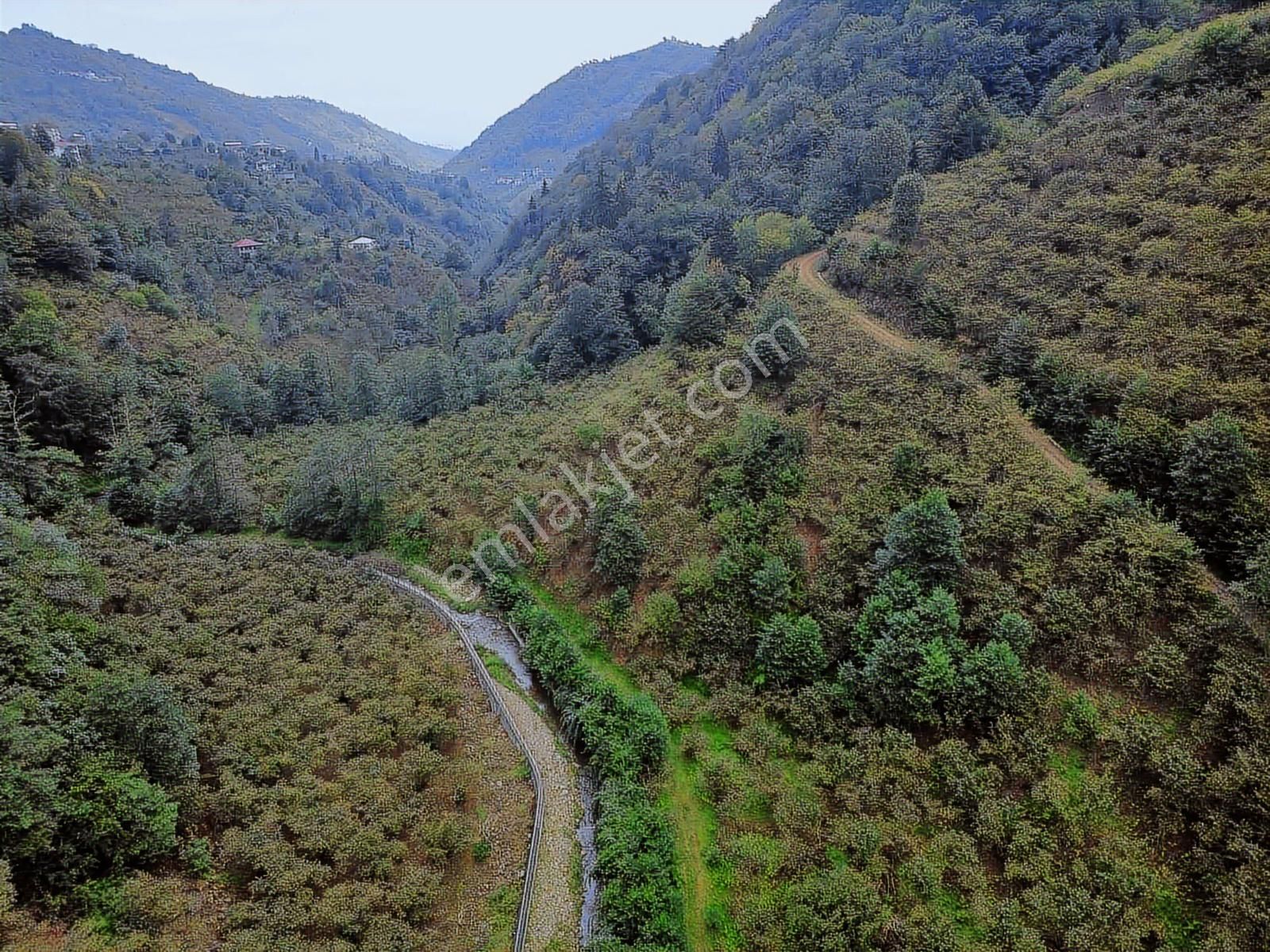 Trabzon Yomrada Fırsat Dere Kenarı Arazi - Görsel 2