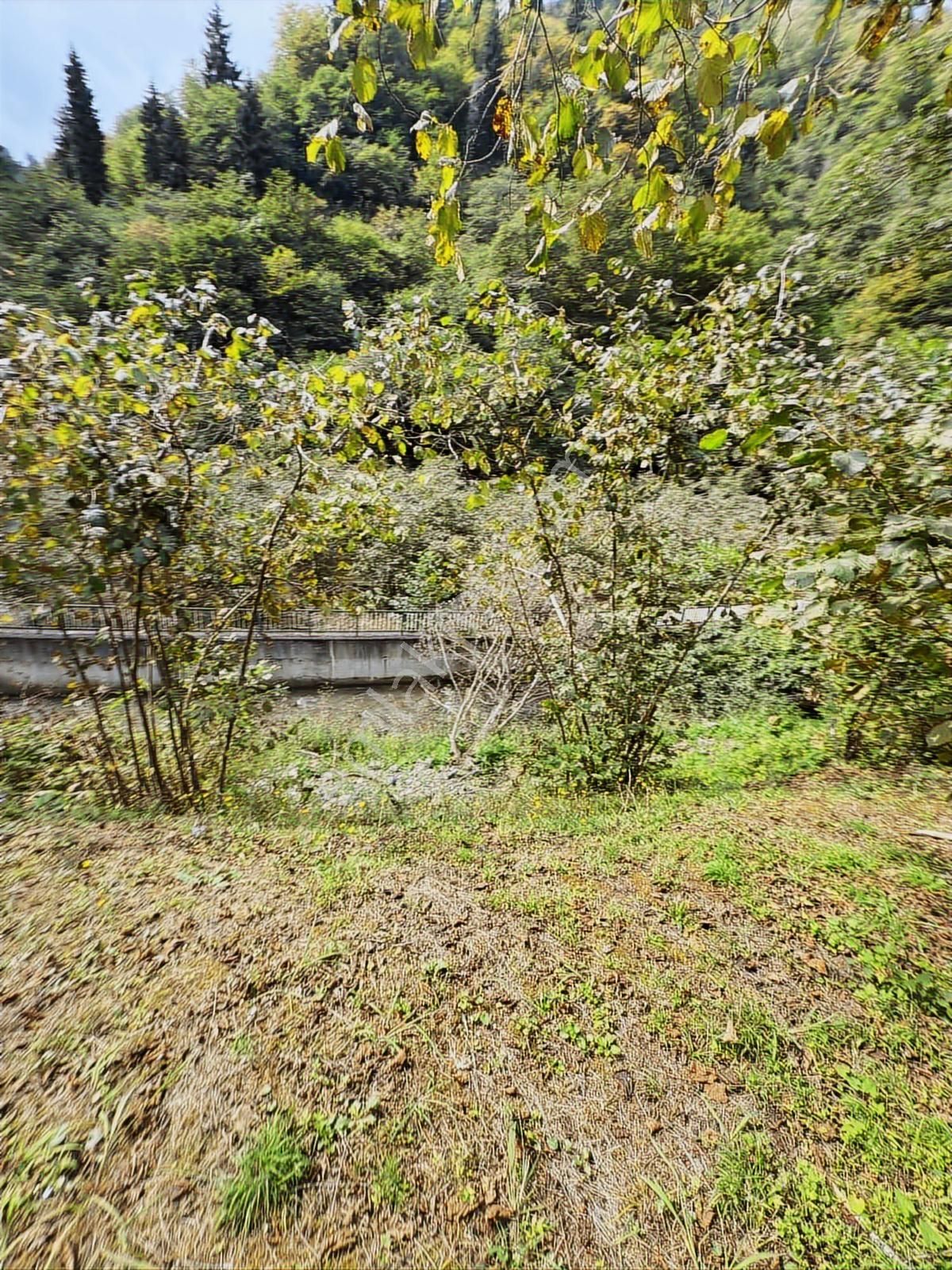 Trabzon Yomrada Fırsat Dere Kenarı Arazi - Görsel 13