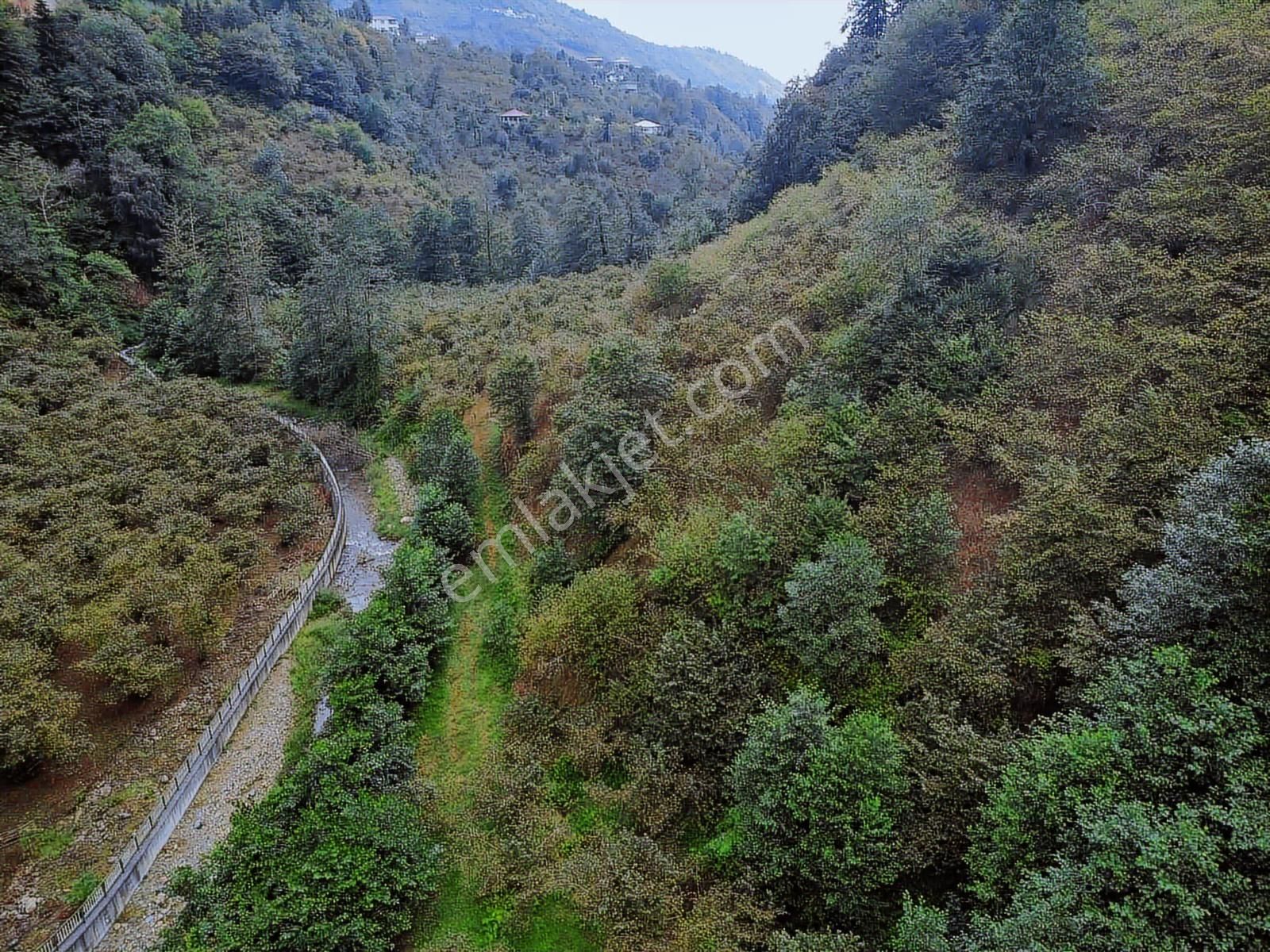 Trabzon Yomrada Fırsat Dere Kenarı Arazi - Görsel 10