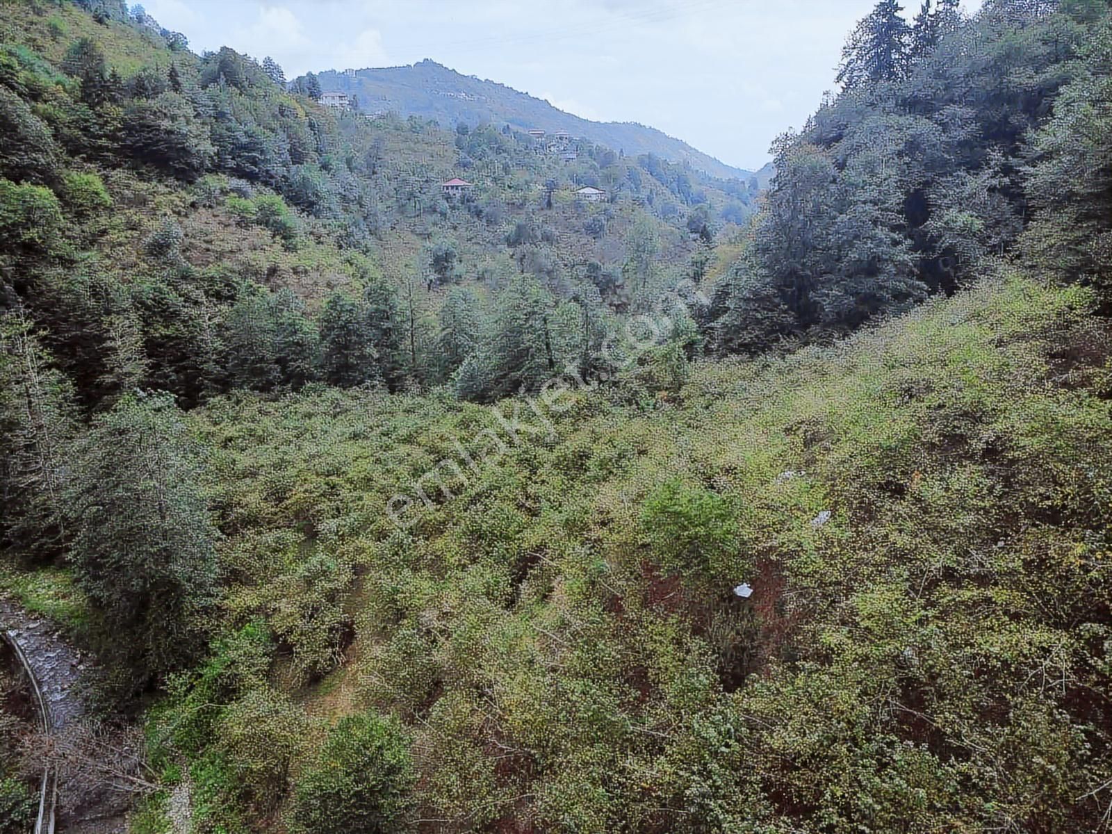 Trabzon Yomrada Fırsat Dere Kenarı Arazi - Görsel 6