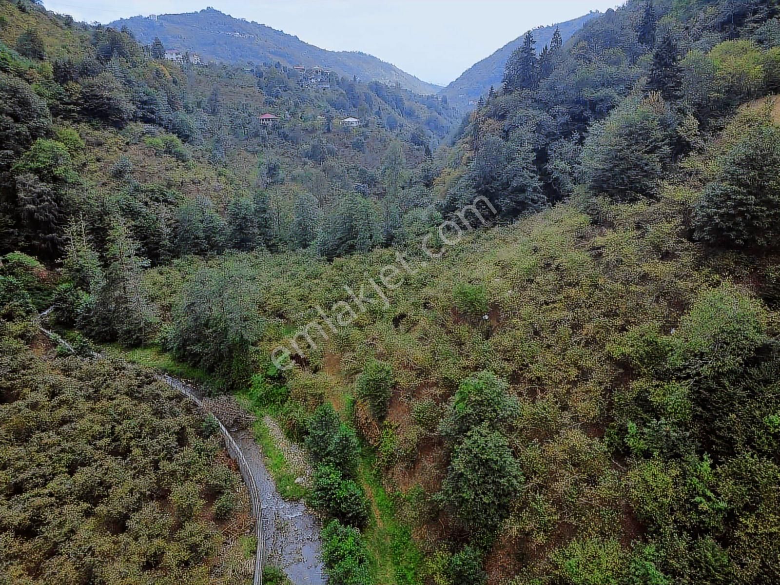 Trabzon Yomrada Fırsat Dere Kenarı Arazi - Görsel 23