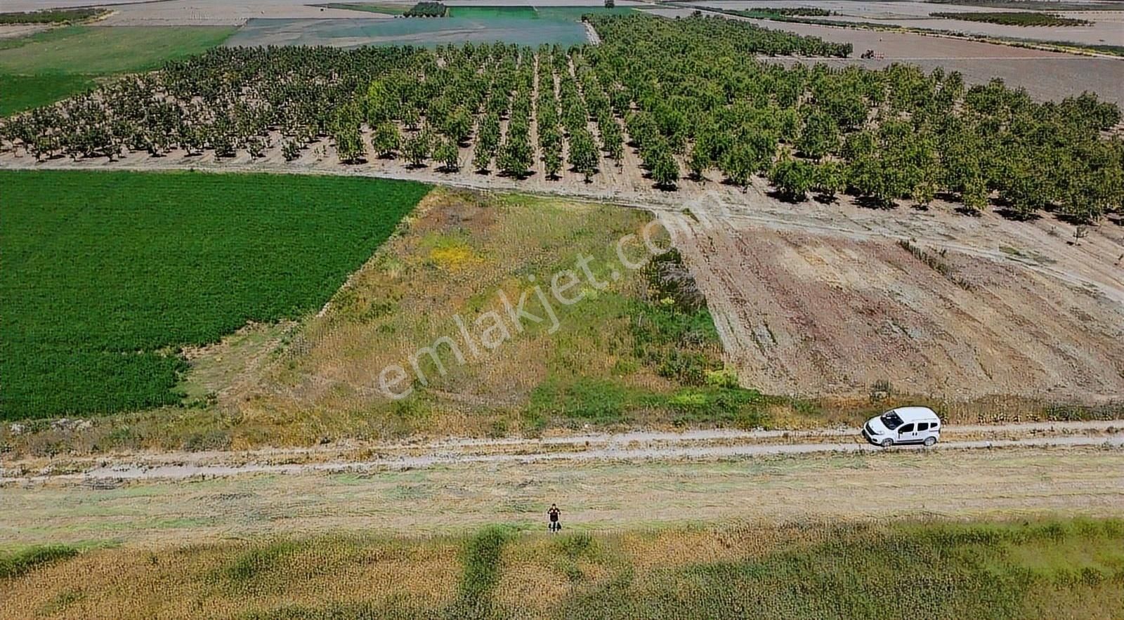 Mustafakemalpaşa Ayaz Köyü Resmi Kadastro Yoluna Cephe Tarla - Görsel 8