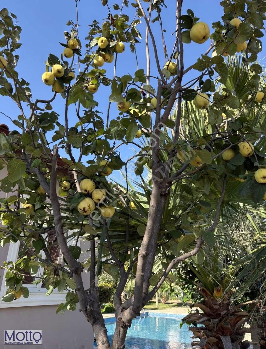 Kemerağzı Satılık Vılla - Görsel 9