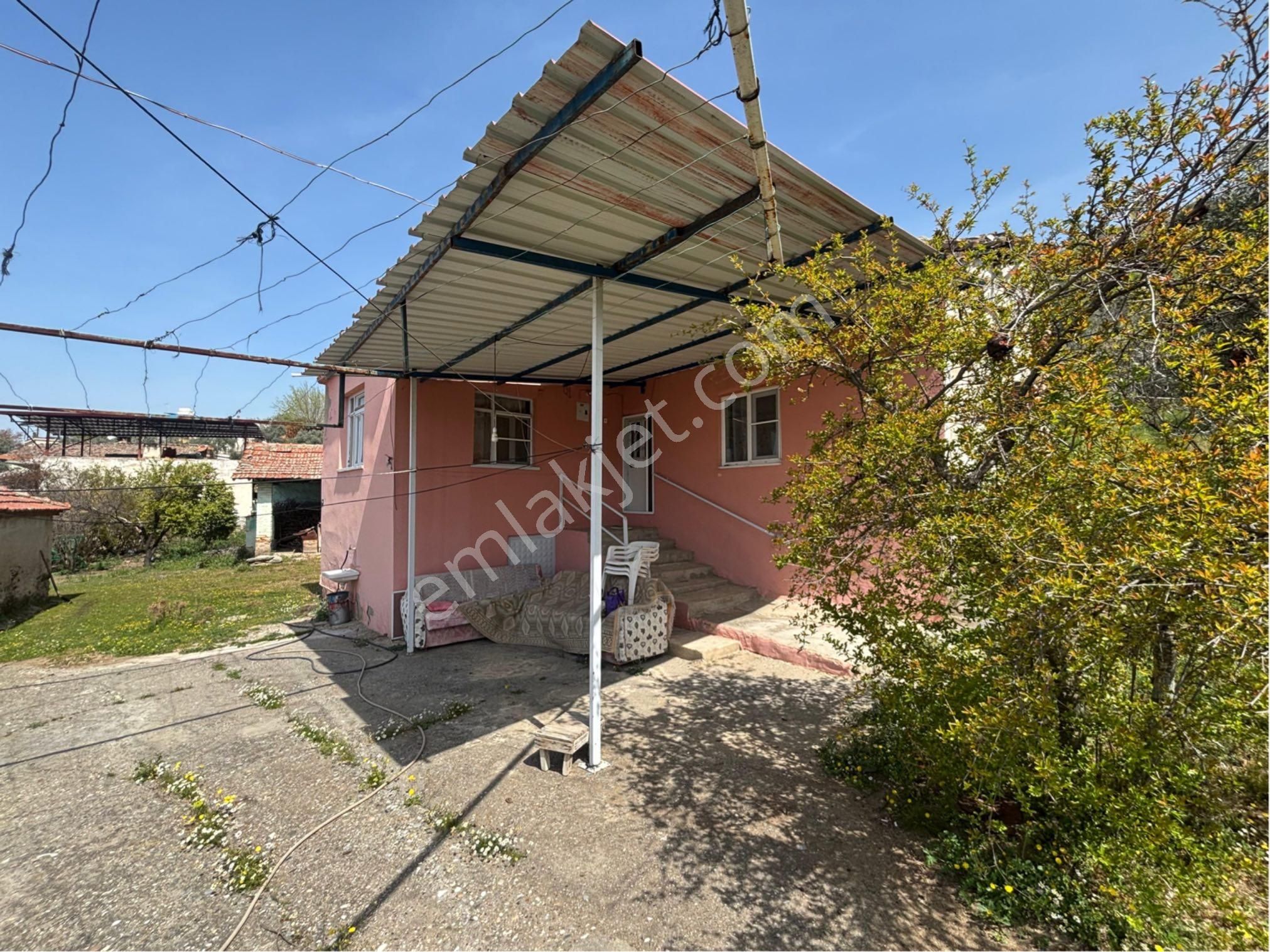 Aydın Nazilli Arpaz Mahallesinde Satılık - Görsel 19