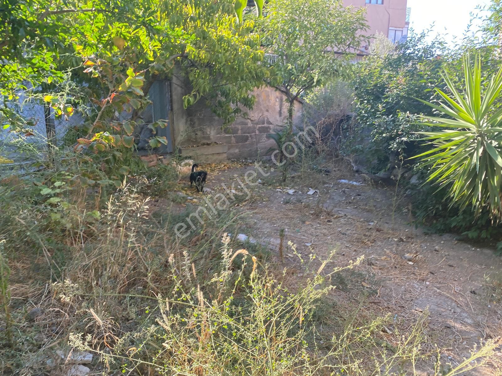 İzmir Konakta Satılık Bina - Görsel 7