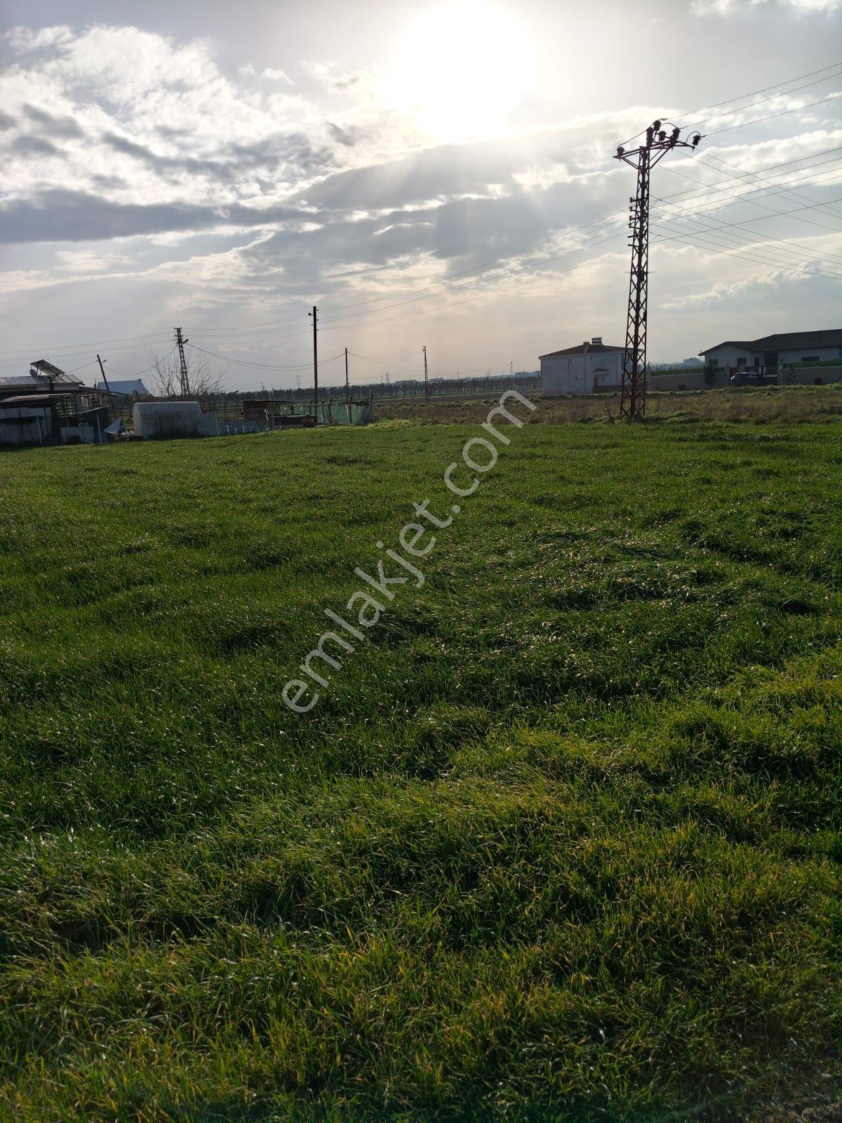 Ateşoğlu Güvencesi İle Tekirdağ Yakuplu Mahallesi Villa İmarlı Arsa - Görsel 2