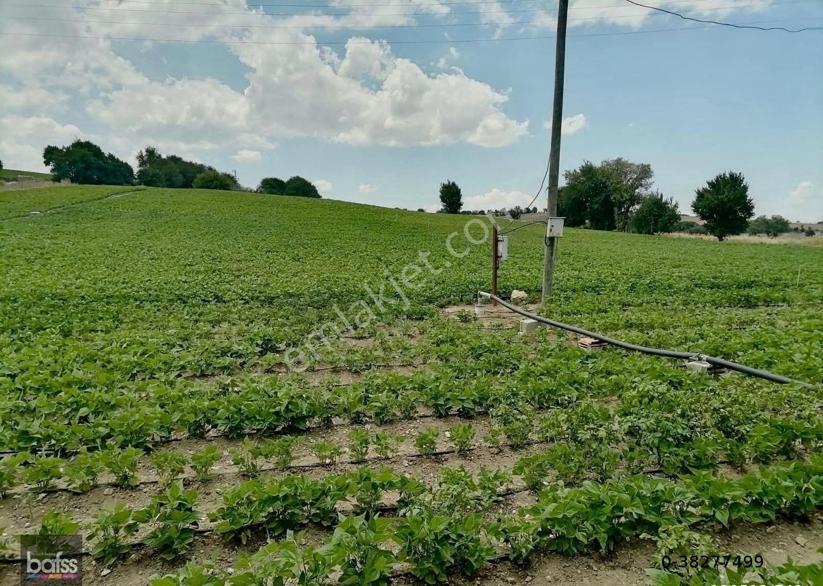 Burdur Antalya Yoluna 300m Mesafede Satılık 6850m2 Tarla