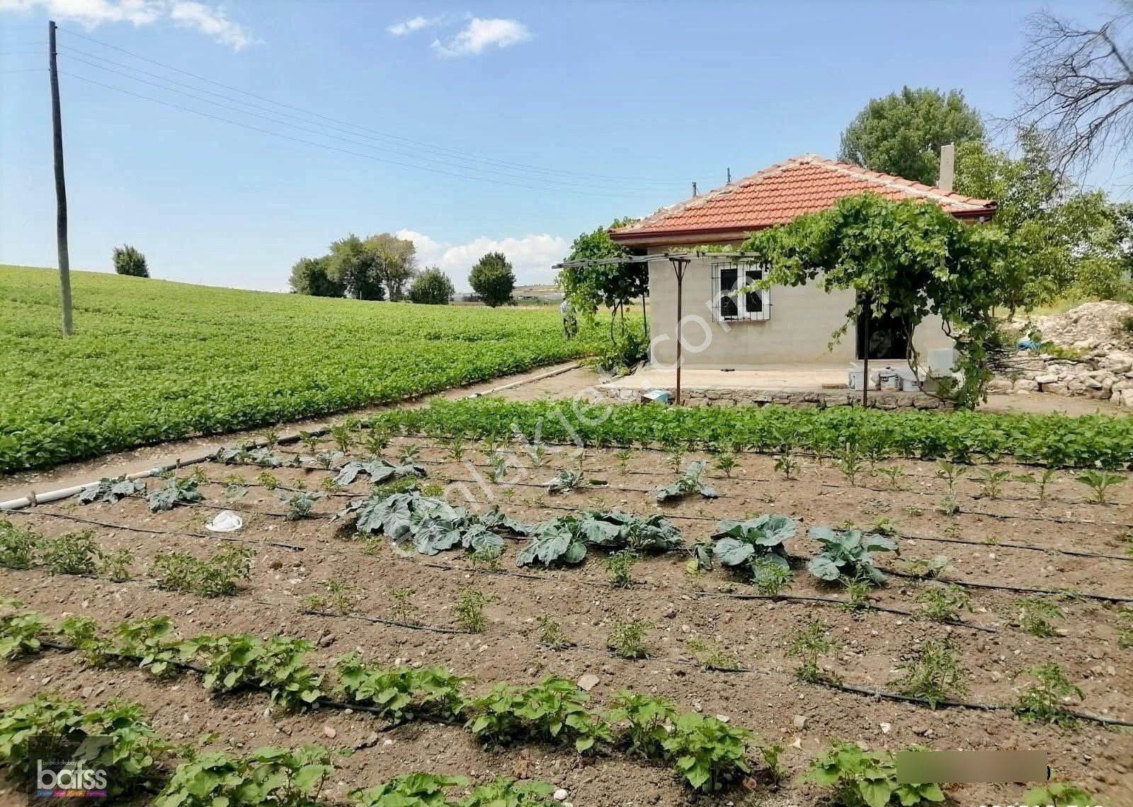 Burdur Antalya Yoluna 300m Mesafede Satılık 6850m2 Tarla - Görsel 8