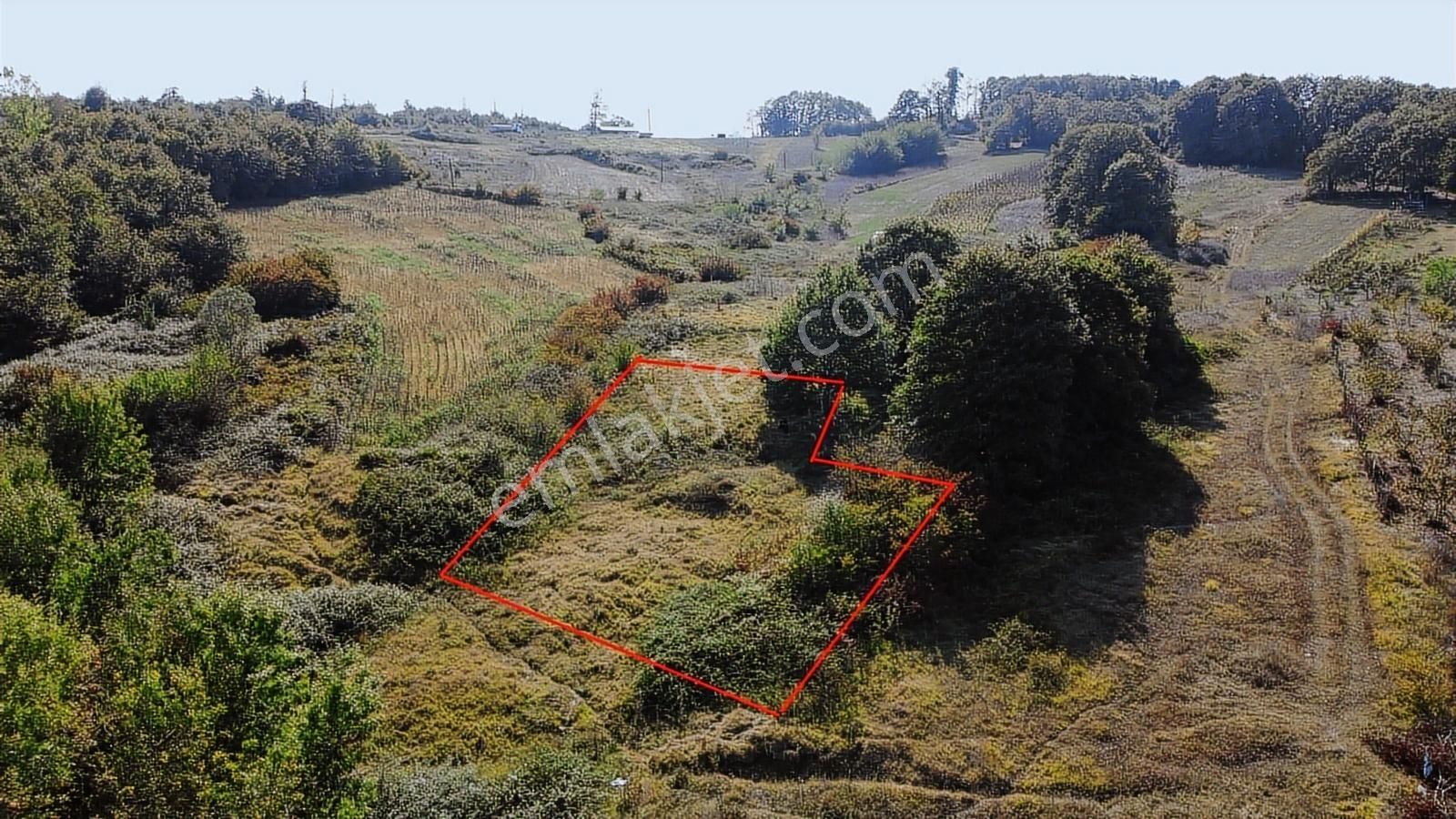 Nefsiyadeş Köyünde Resmi Yola Cepheli İmarlı Tarla