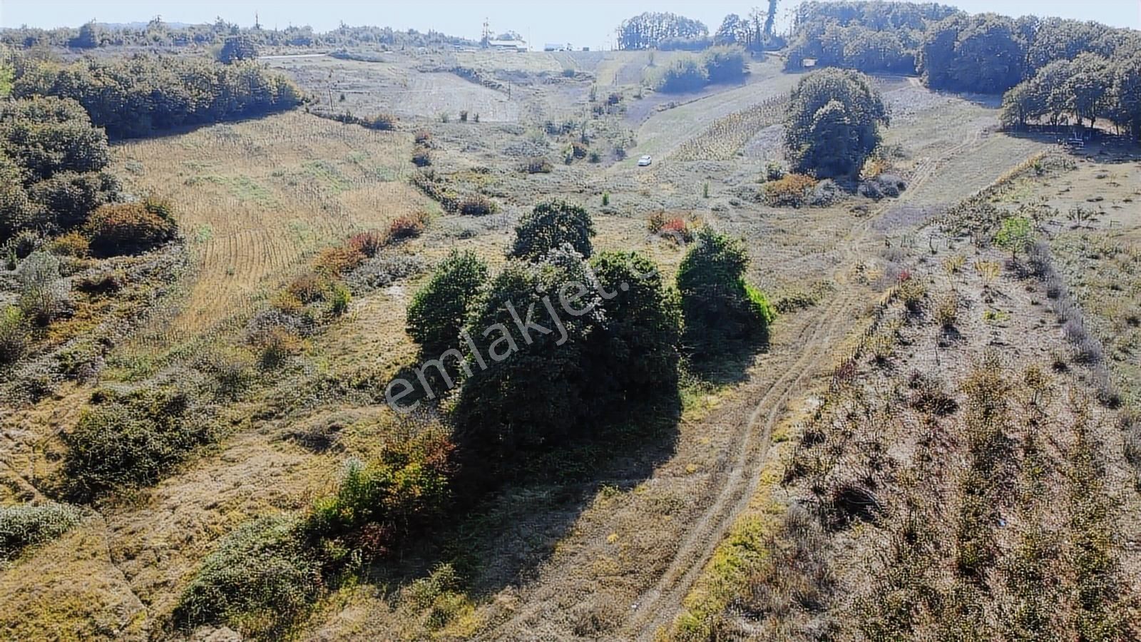 Nefsiyadeş Köyünde Resmi Yola Cepheli İmarlı Tarla - Görsel 3