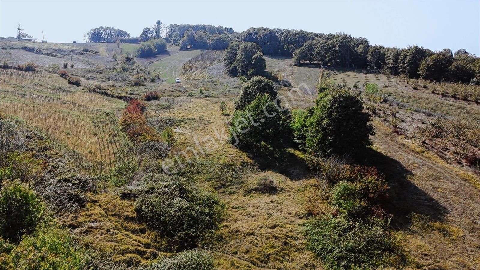 Nefsiyadeş Köyünde Resmi Yola Cepheli İmarlı Tarla - Görsel 34