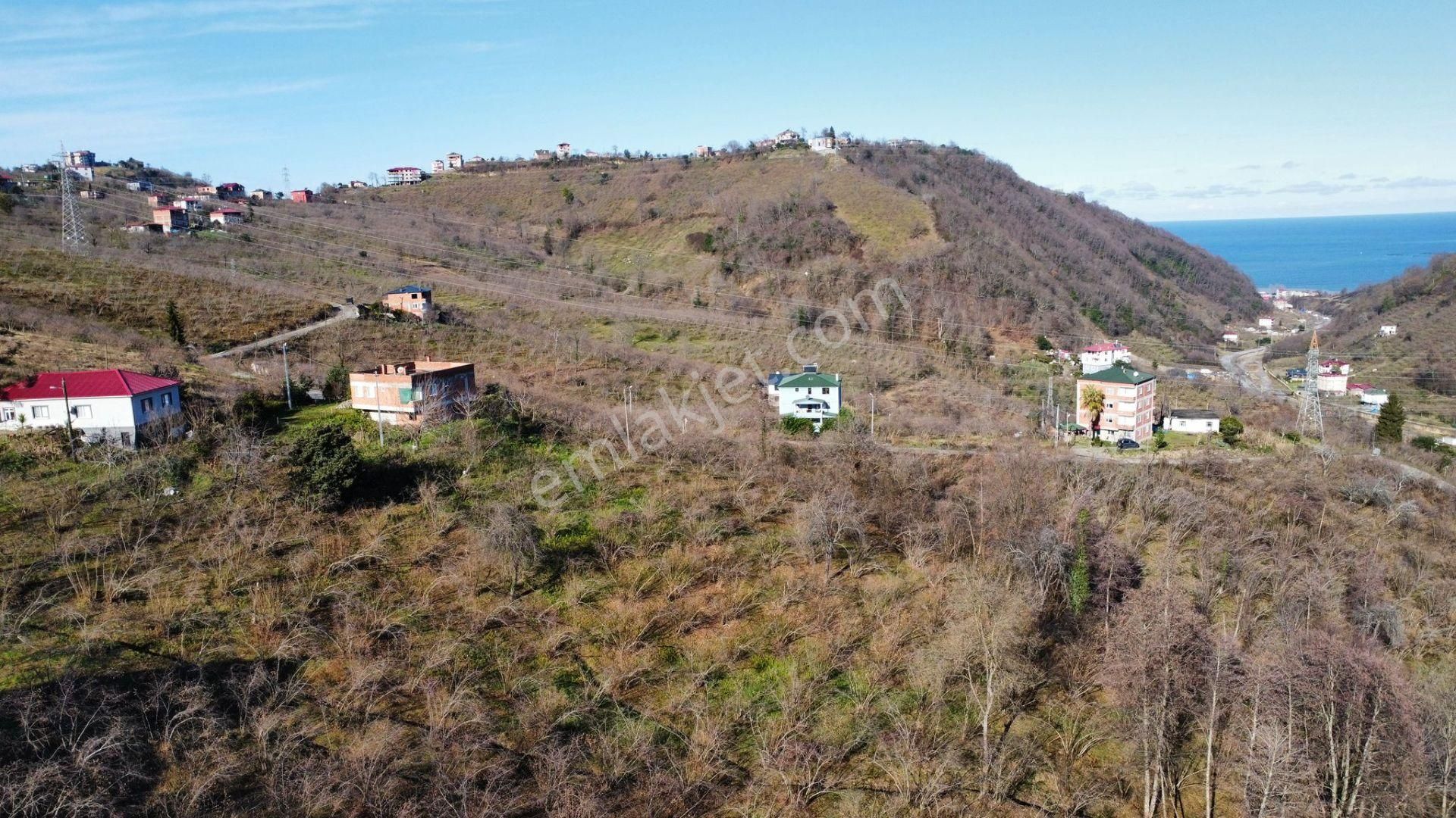 Trabzon Yomrada Satılık Turizm İmarlı Arsa - Görsel 17