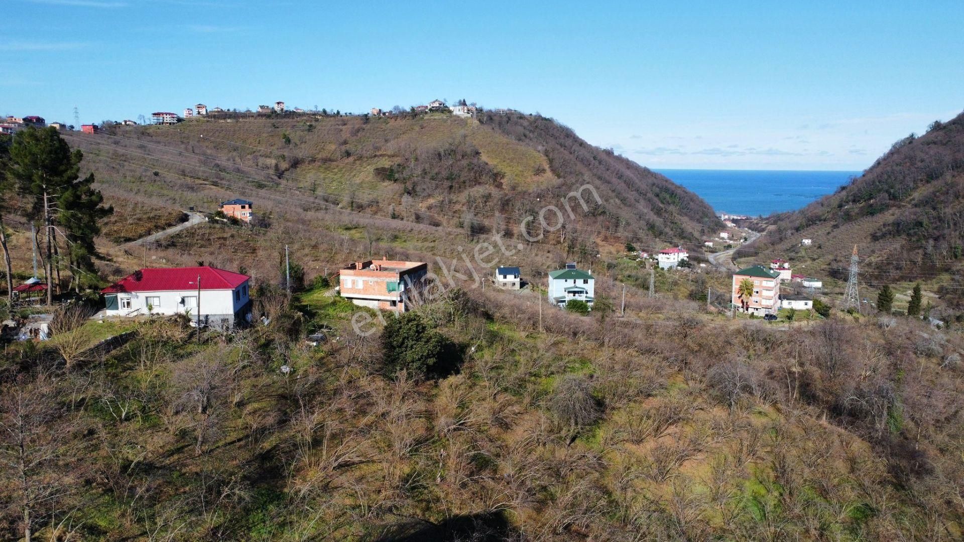 Trabzon Yomrada Satılık Turizm İmarlı Arsa - Görsel 2