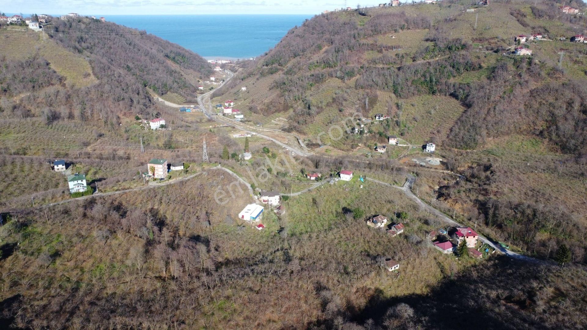 Trabzon Yomrada Satılık Turizm İmarlı Arsa - Görsel 10