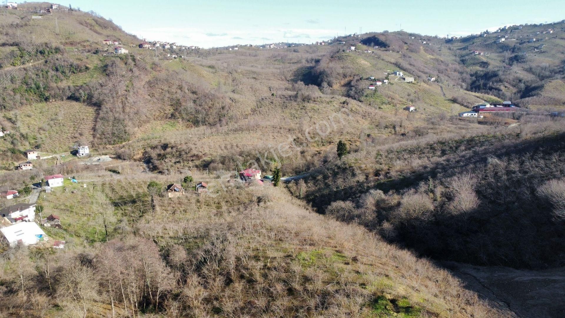 Trabzon Yomrada Satılık Turizm İmarlı Arsa - Görsel 22