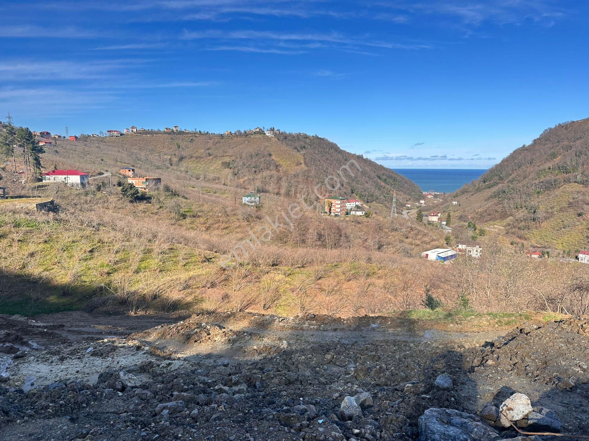 Trabzon Yomrada Satılık Turizm İmarlı Arsa - Görsel 6