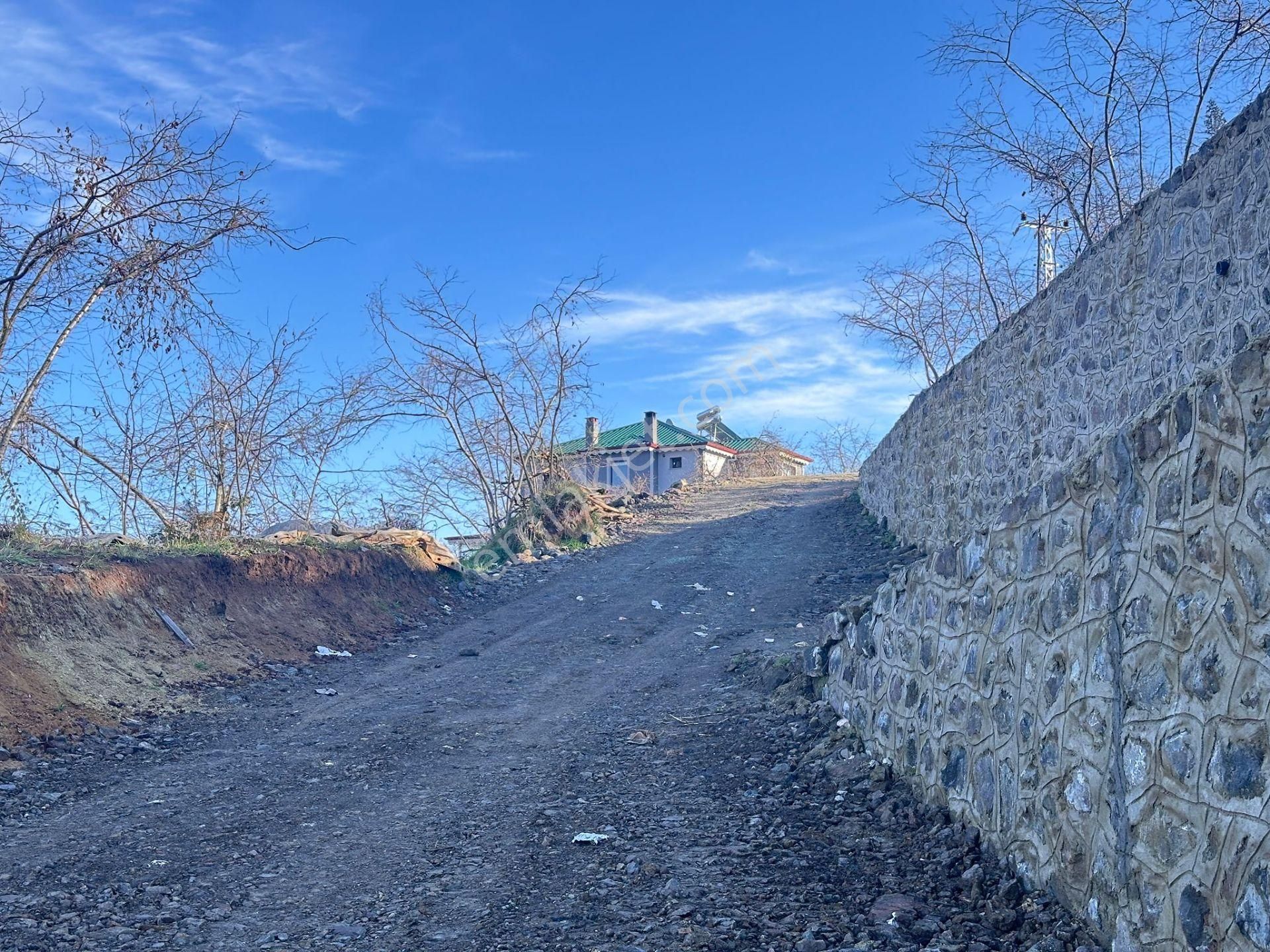 Trabzon Yomrada Satılık Turizm İmarlı Arsa - Görsel 20