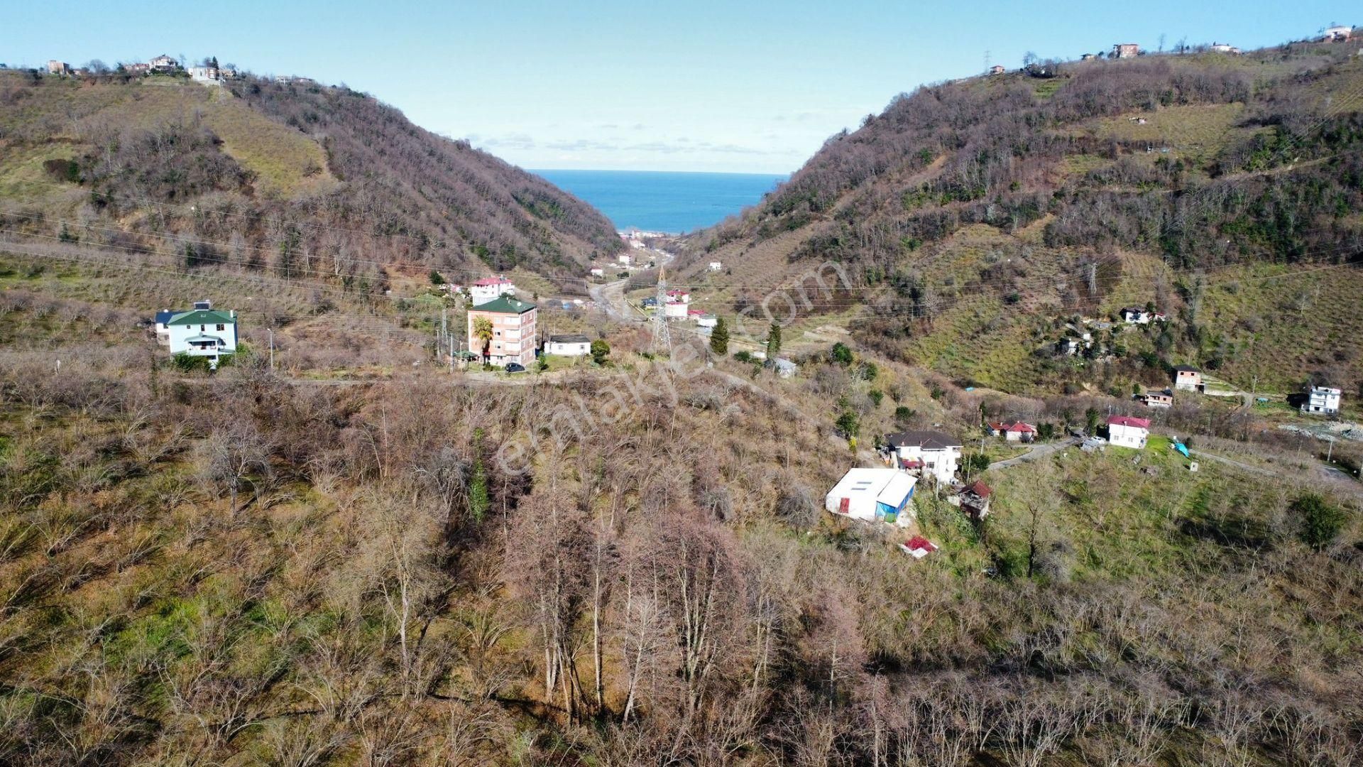 Trabzon Yomrada Satılık Turizm İmarlı Arsa - Görsel 18