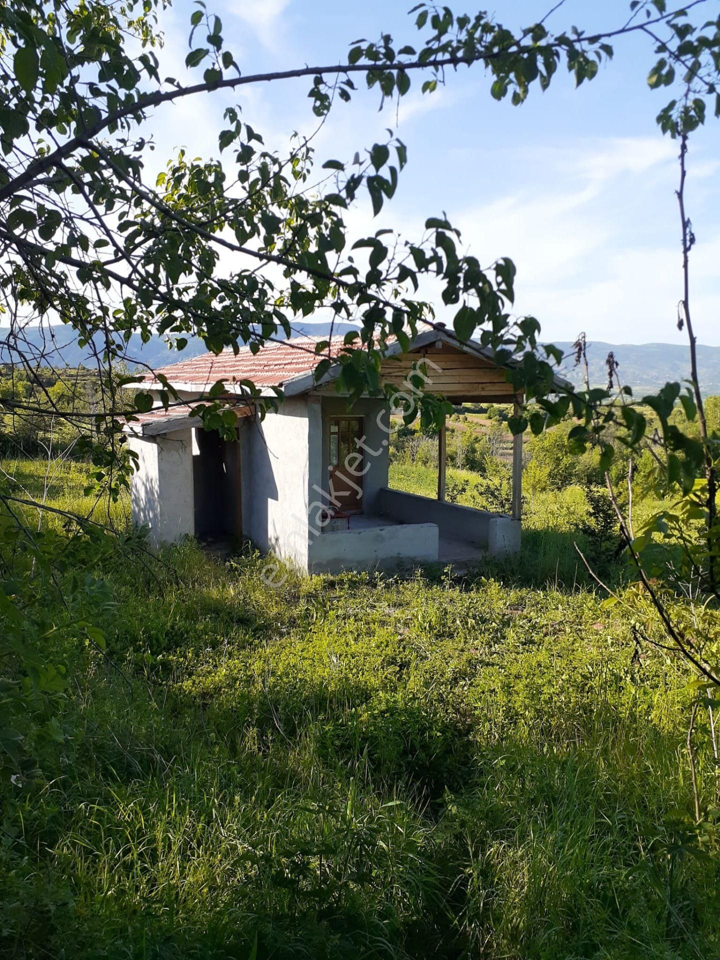Yankı'dan Pazar Erkilet Mh. De Suyu Olan 3.567m2 Bahçeli Bağ Evi