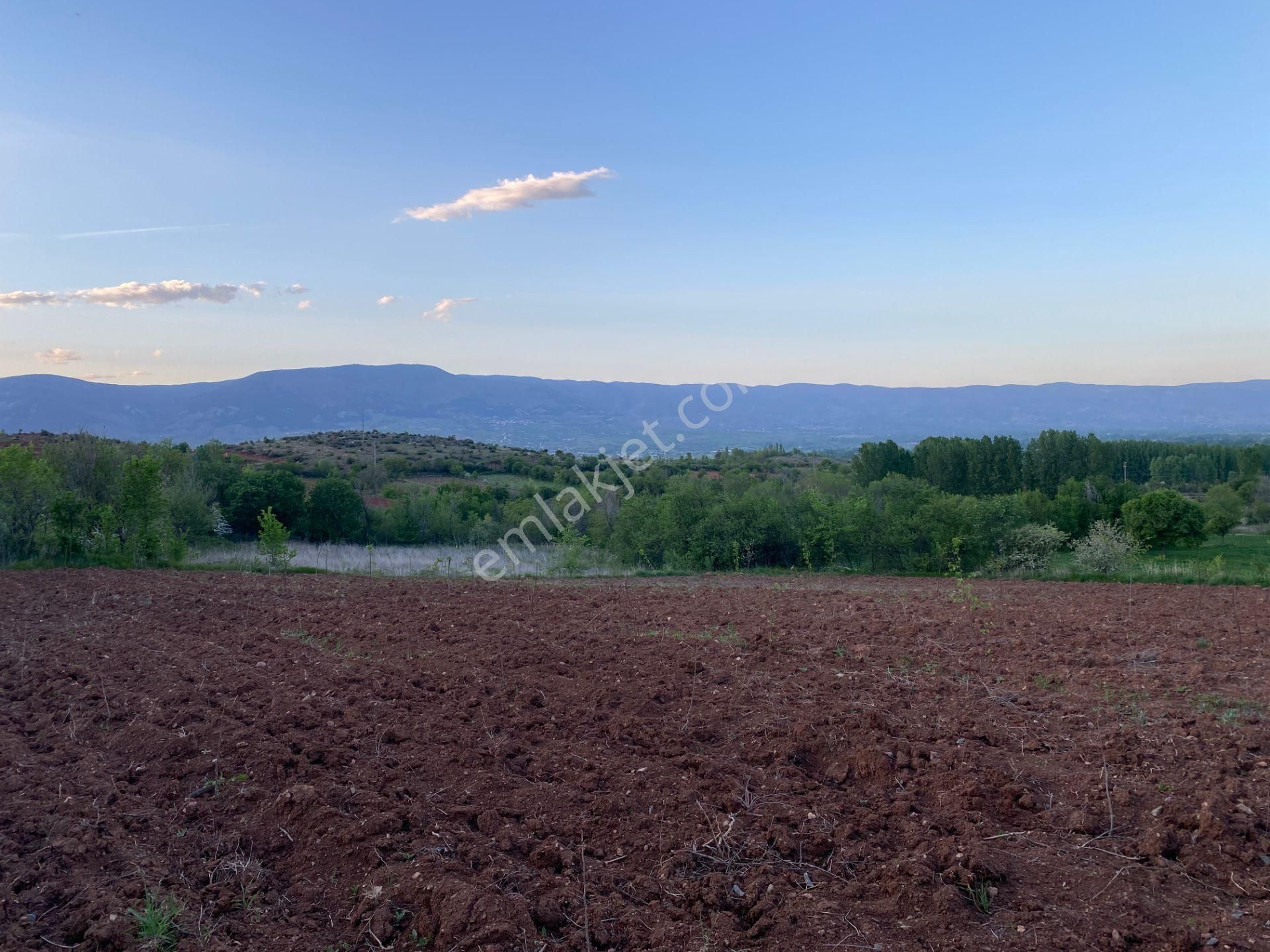 Yankı'dan Pazar Erkilet Mh. De Suyu Olan 3.567m2 Bahçeli Bağ Evi - Görsel 12
