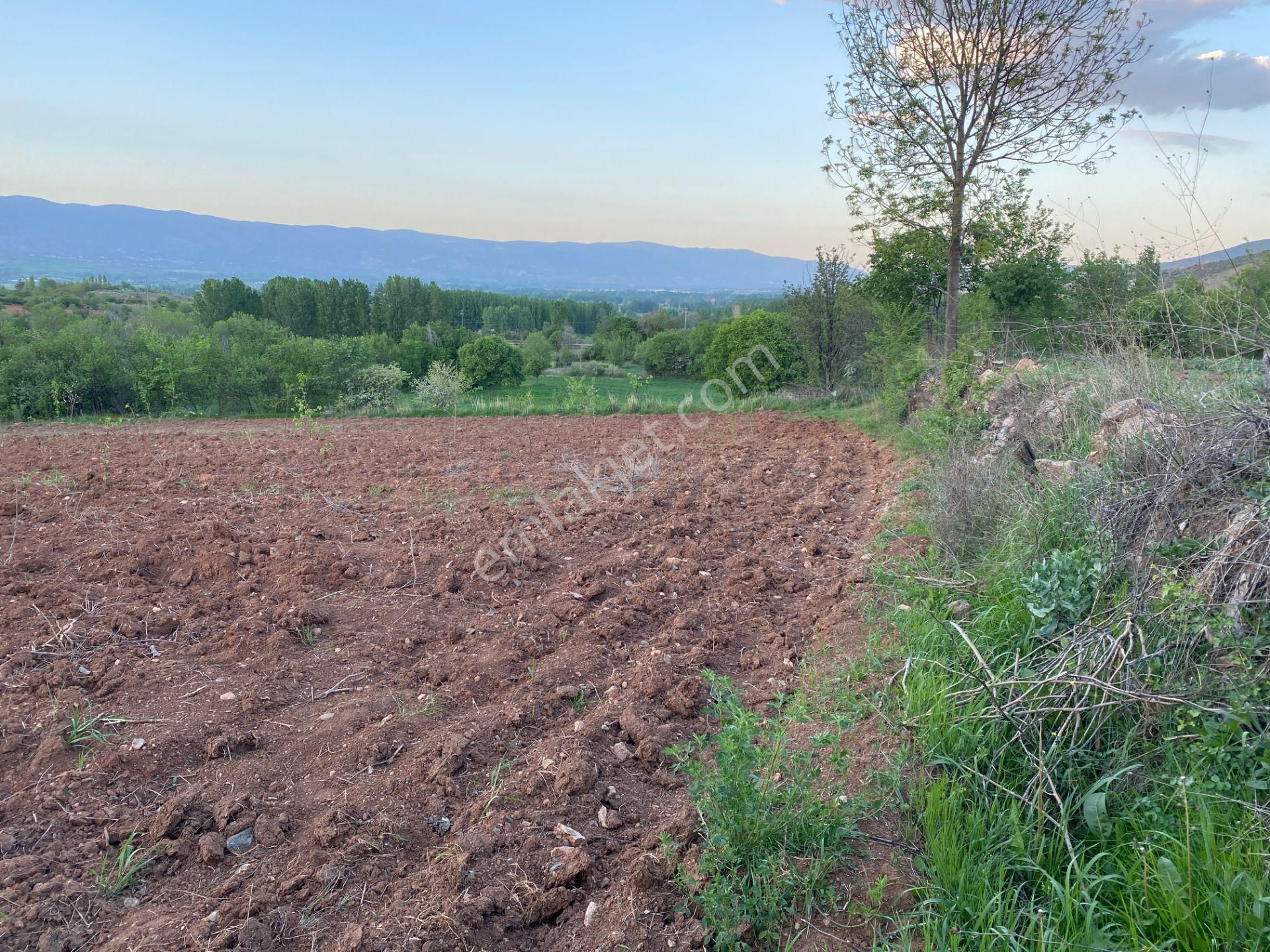 Yankı'dan Pazar Erkilet Mh. De Suyu Olan 3.567m2 Bahçeli Bağ Evi - Görsel 19