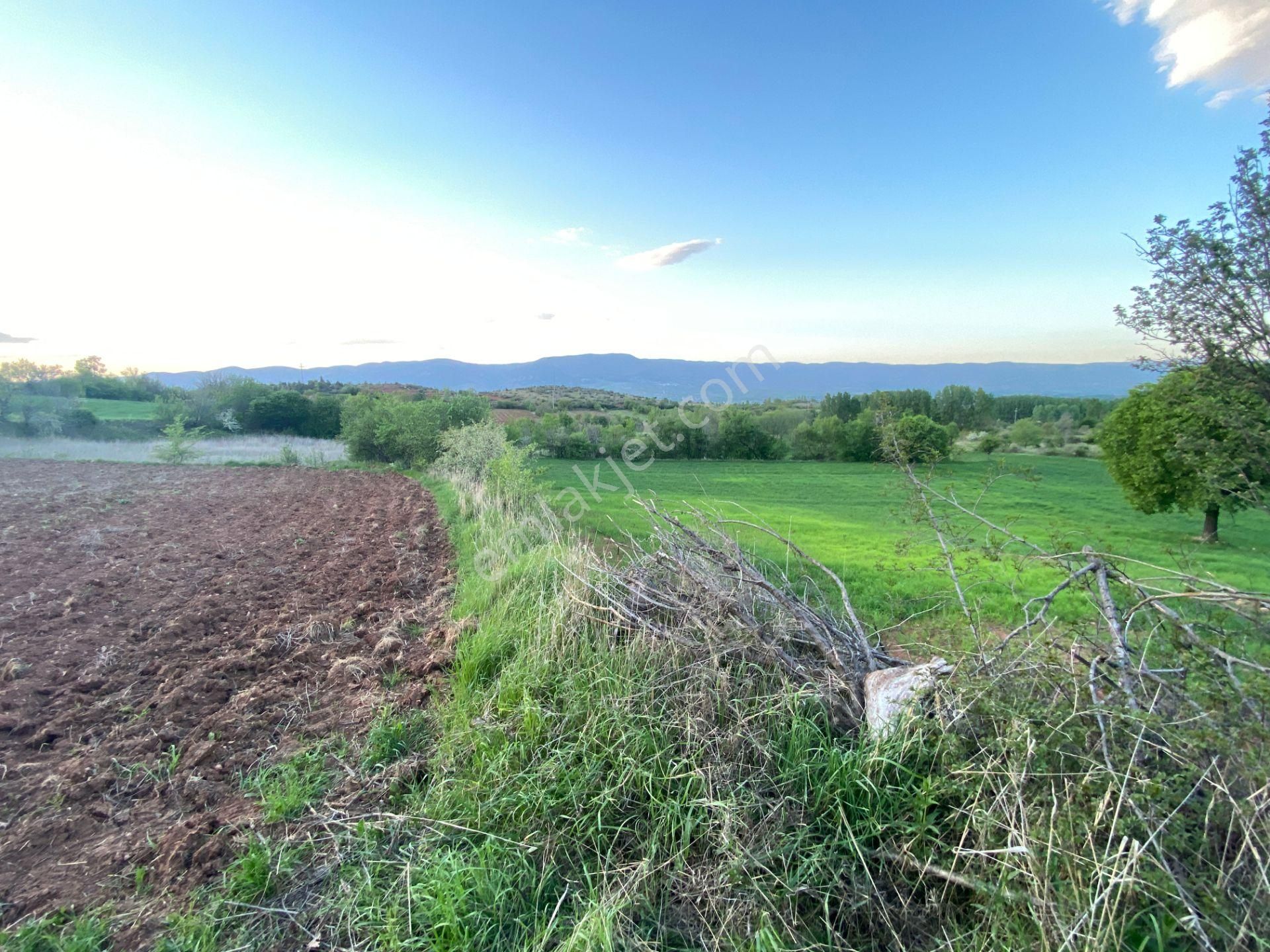 Yankı'dan Pazar Erkilet Mh. De Suyu Olan 3.567m2 Bahçeli Bağ Evi - Görsel 10