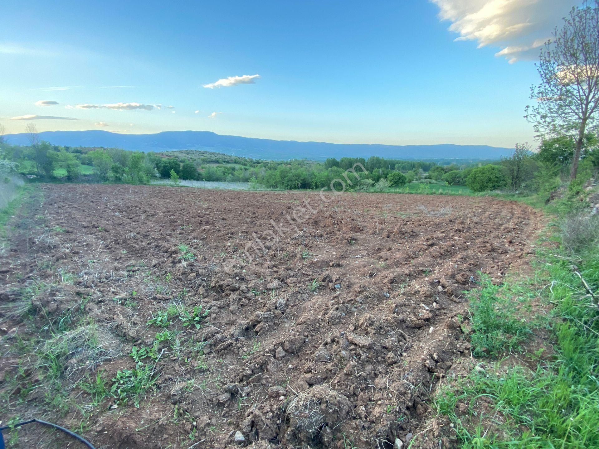 Yankı'dan Pazar Erkilet Mh. De Suyu Olan 3.567m2 Bahçeli Bağ Evi - Görsel 7