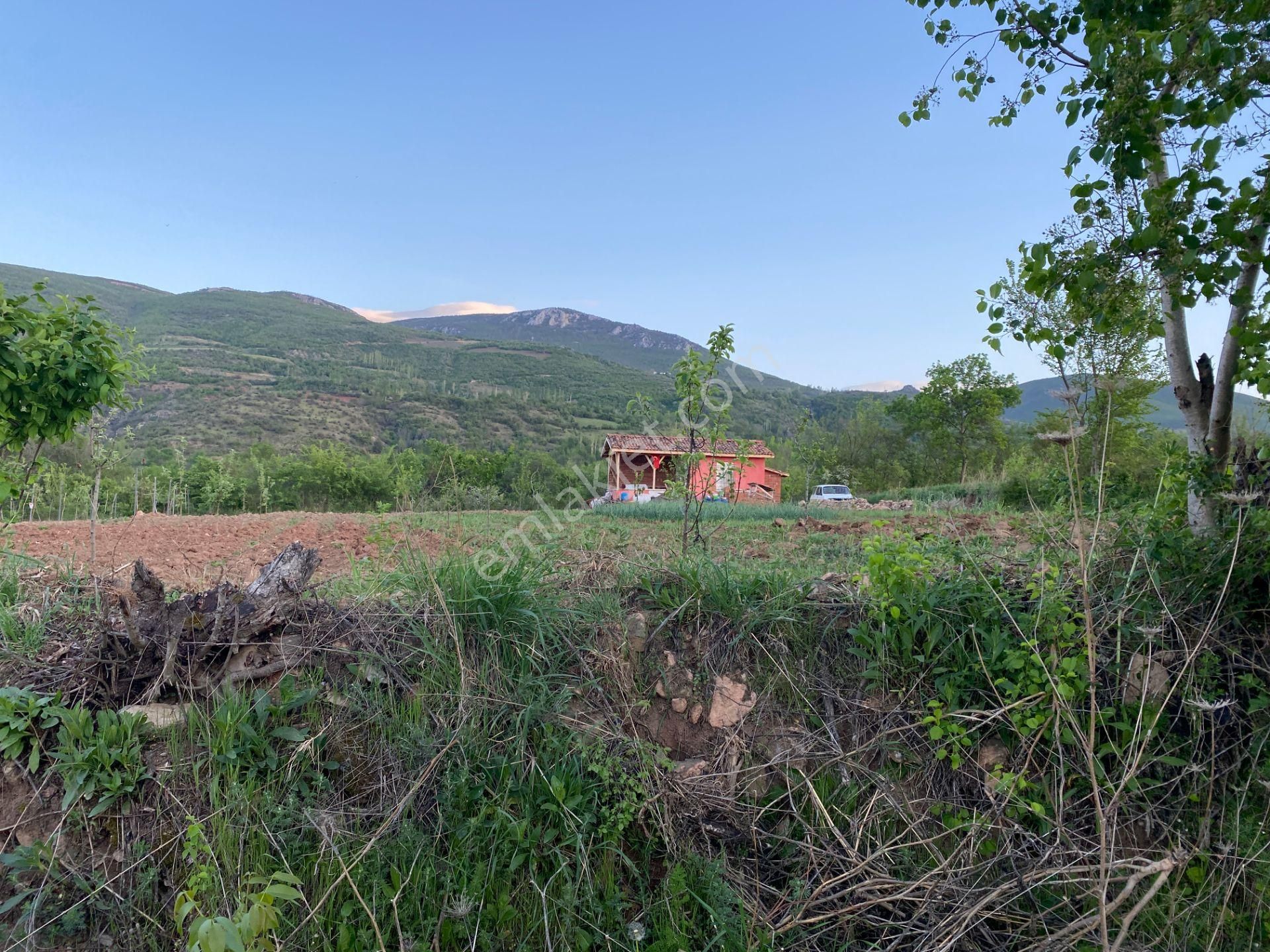 Yankı'dan Pazar Erkilet Mh. De Suyu Olan 3.567m2 Bahçeli Bağ Evi - Görsel 8