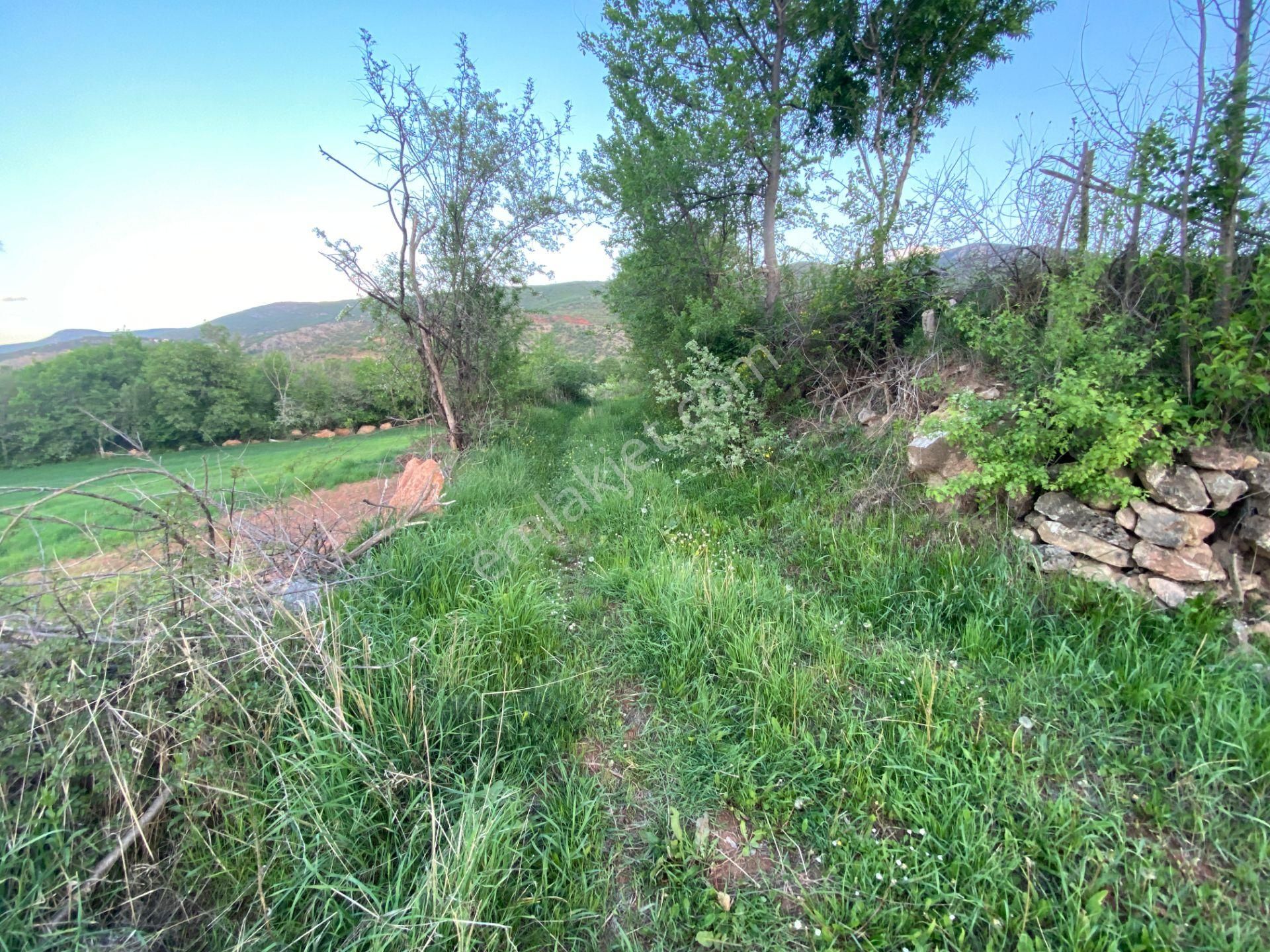 Yankı'dan Pazar Erkilet Mh. De Suyu Olan 3.567m2 Bahçeli Bağ Evi - Görsel 15