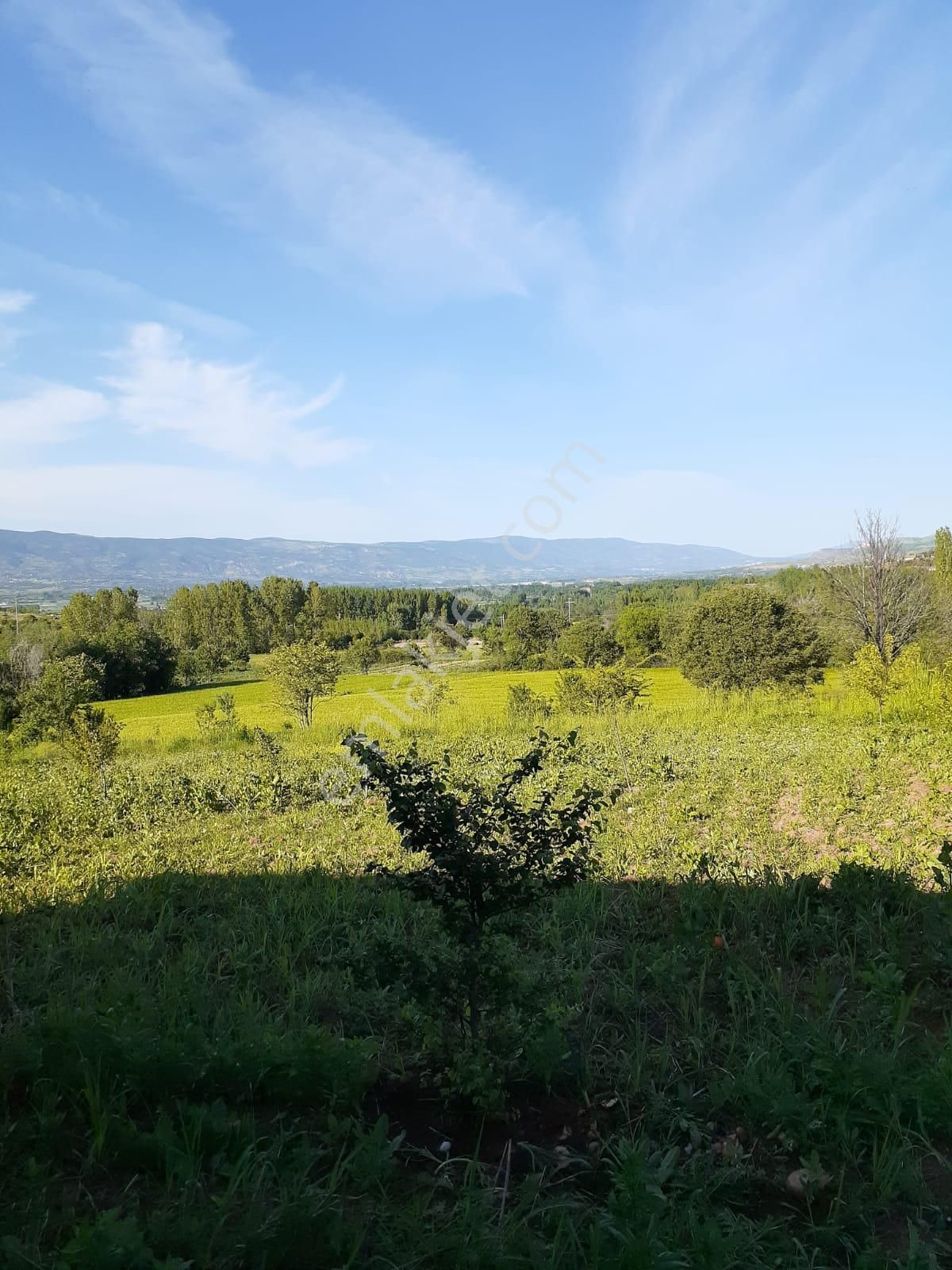 Yankı'dan Pazar Erkilet Mh. De Suyu Olan 3.567m2 Bahçeli Bağ Evi - Görsel 5