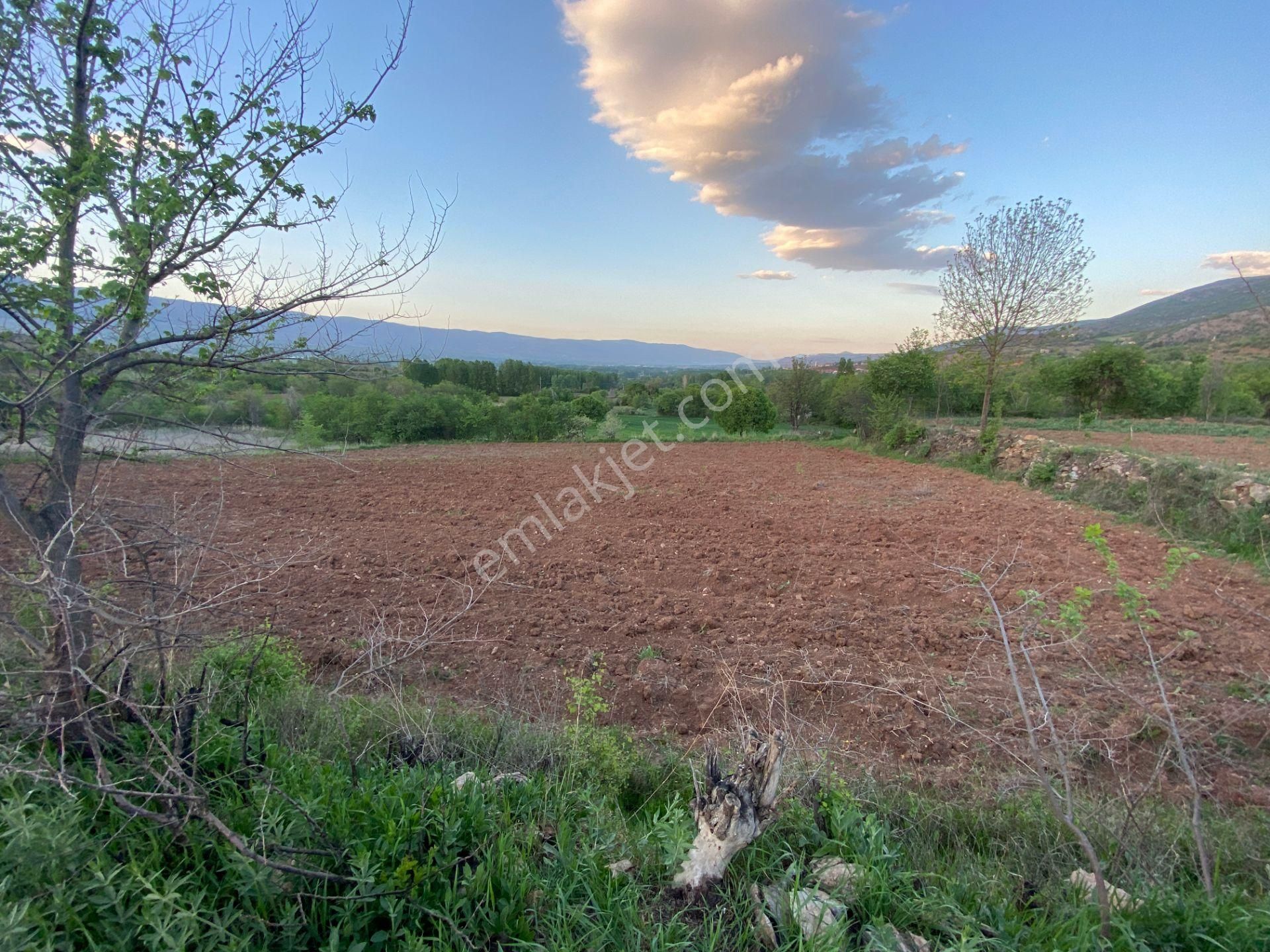 Yankı'dan Pazar Erkilet Mh. De Suyu Olan 3.567m2 Bahçeli Bağ Evi - Görsel 11