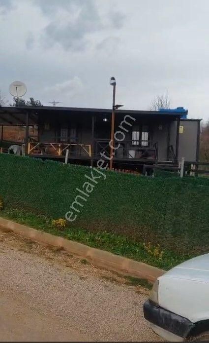 Kestel Kozluören'de Hazır Kurulu 608 M2 Kullanım Alanlı Bahçe