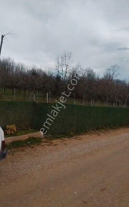 Kestel Kozluören'de Hazır Kurulu 608 M2 Kullanım Alanlı Bahçe - Görsel 2